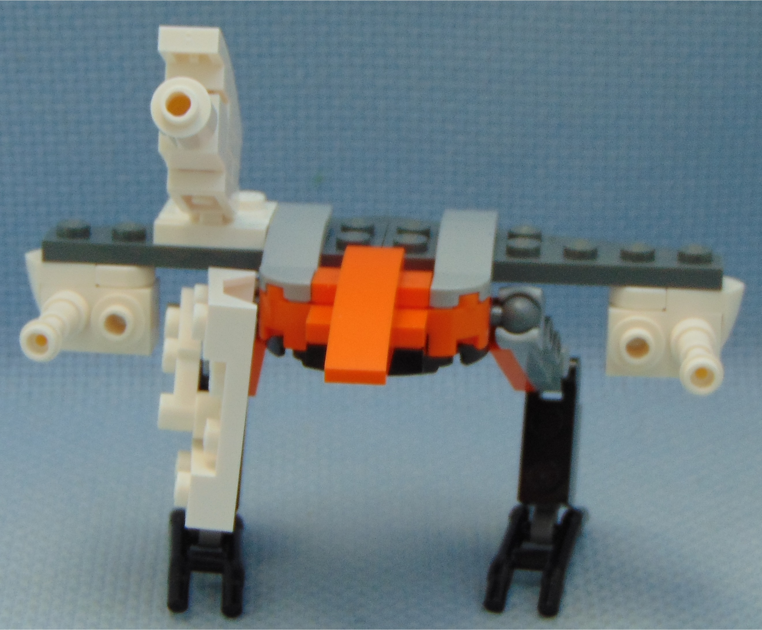 aquila_delegator__front.jpg