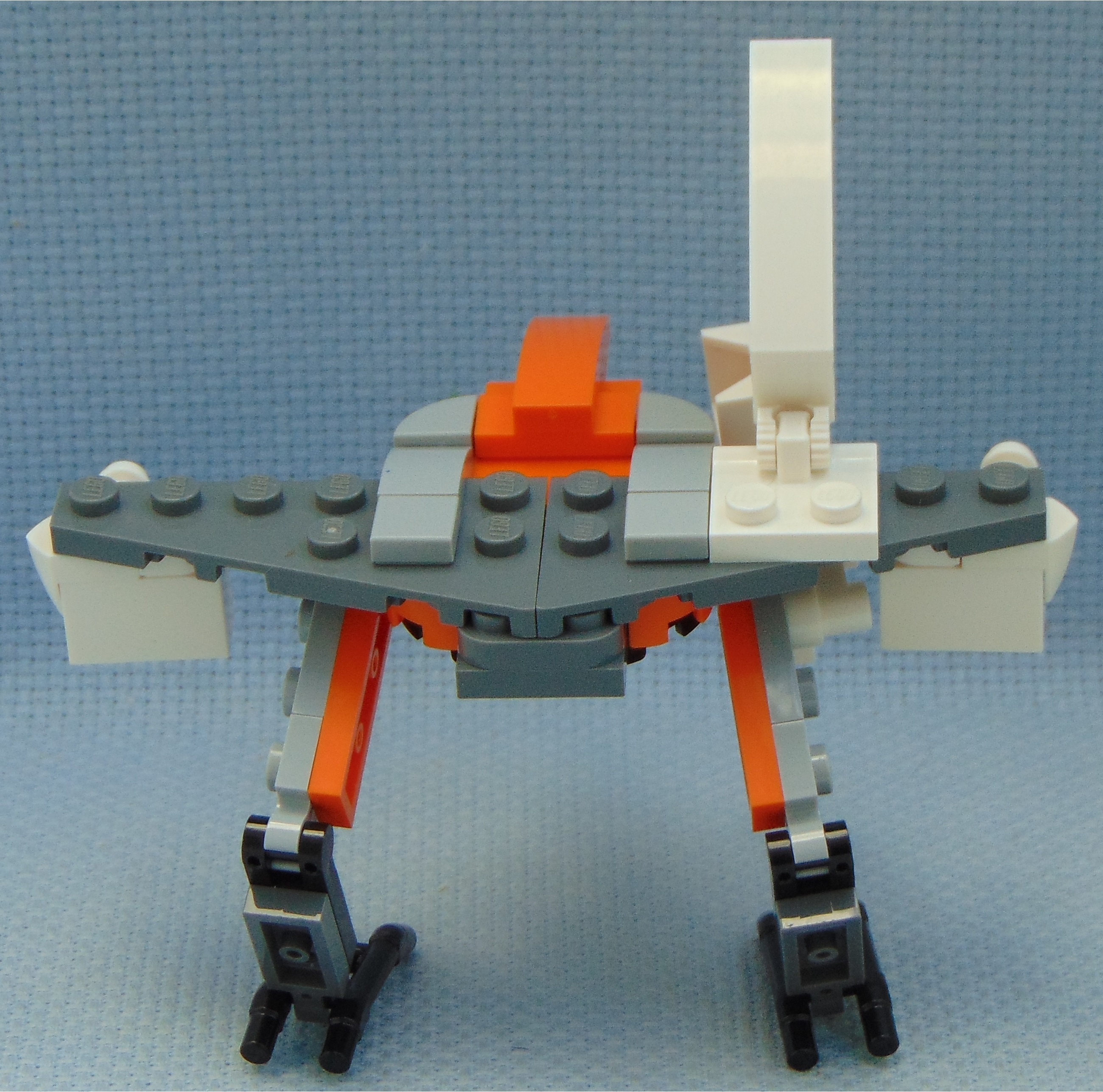 aquila_delegator__rear.jpg