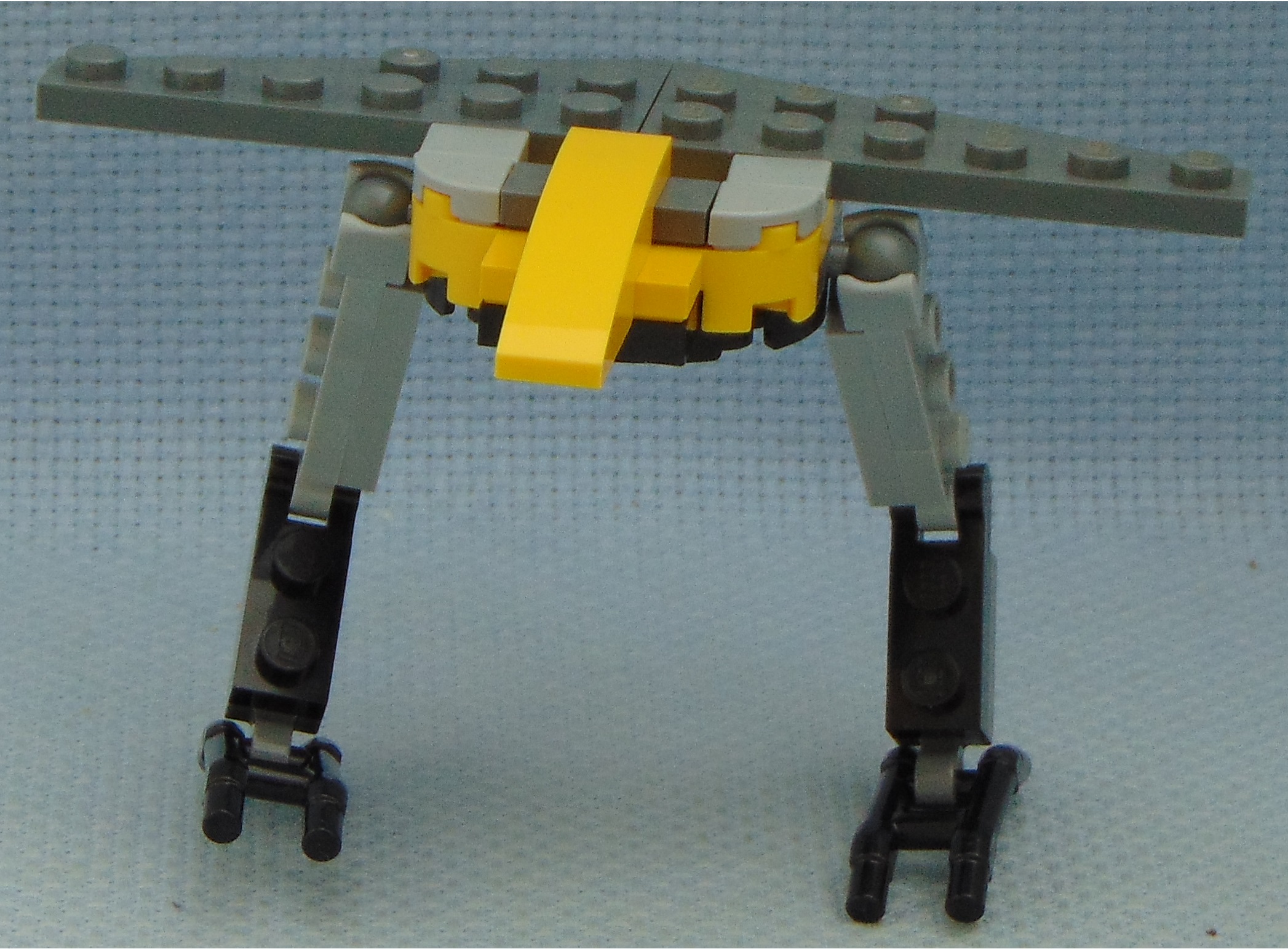 old_aquila__front.jpg