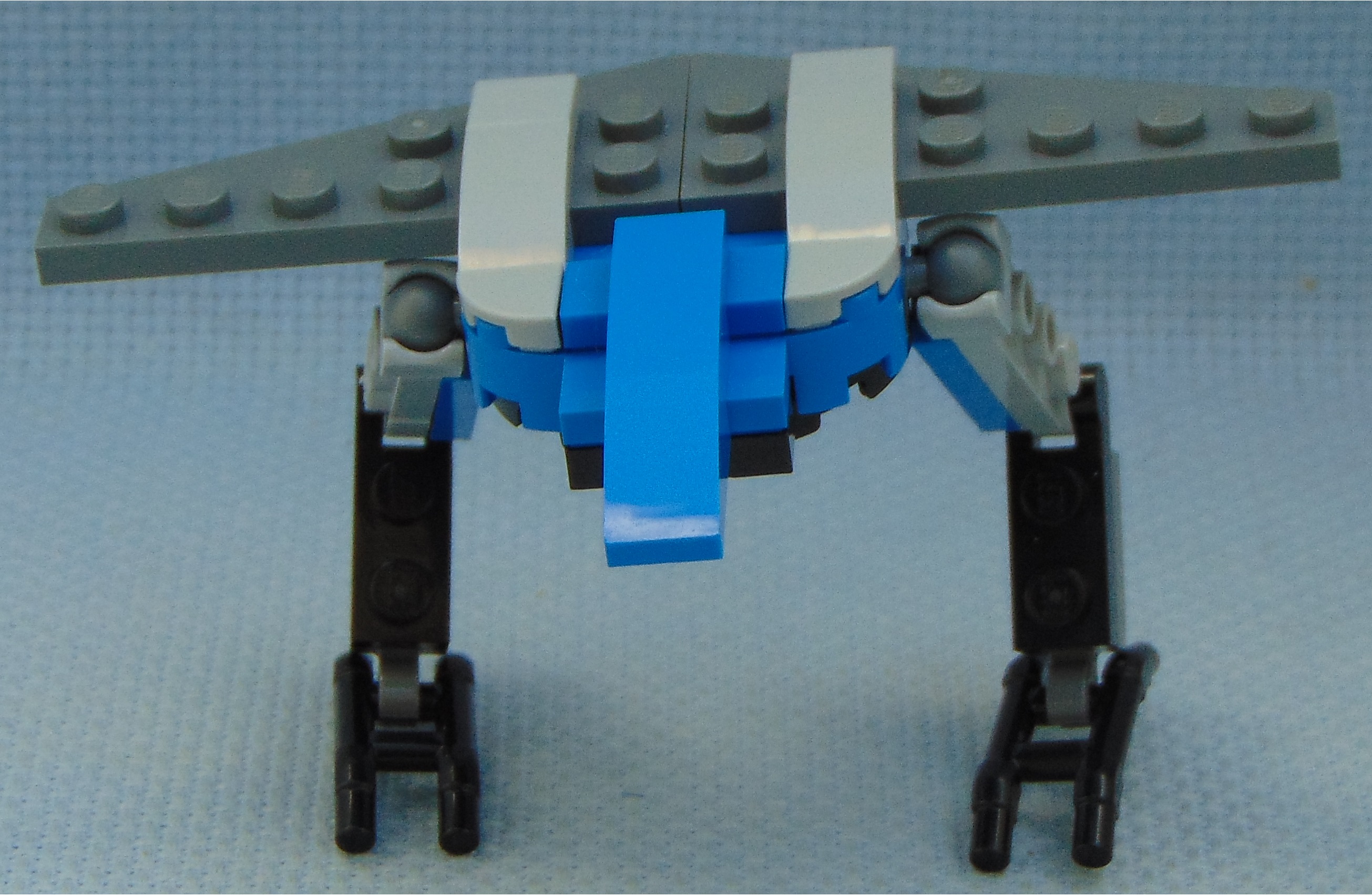 aquila__front.jpg