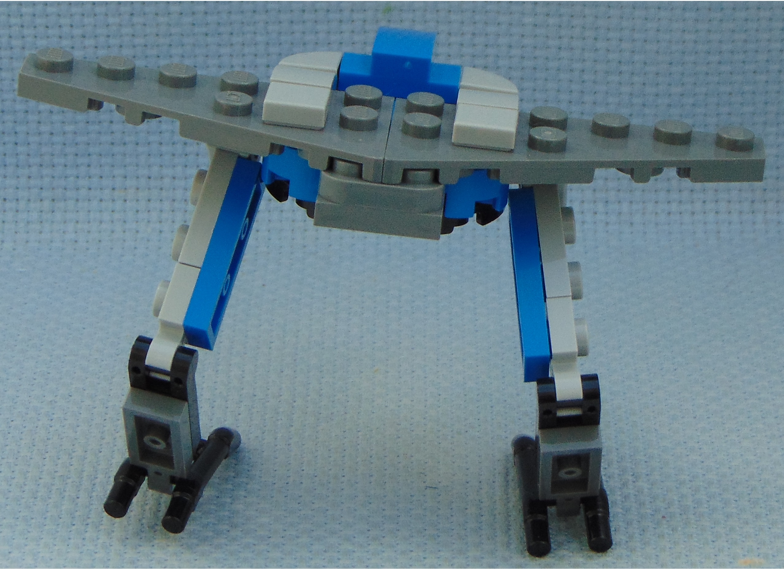 aquila__rear.jpg