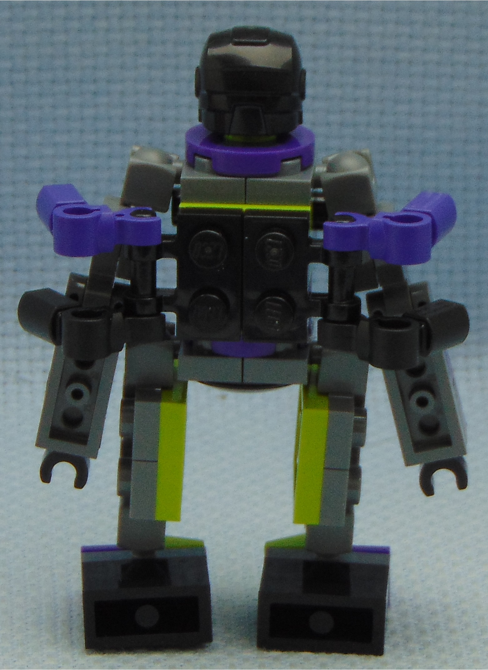 arana__rear.jpg