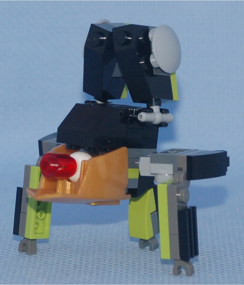 b-2_balor__handstand.jpg