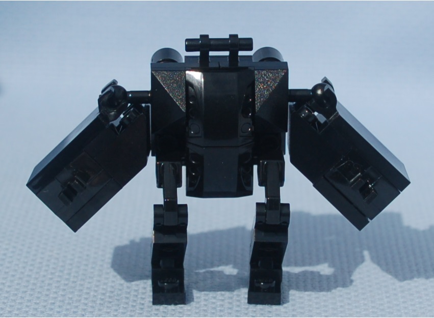 black_bot__rear.jpg
