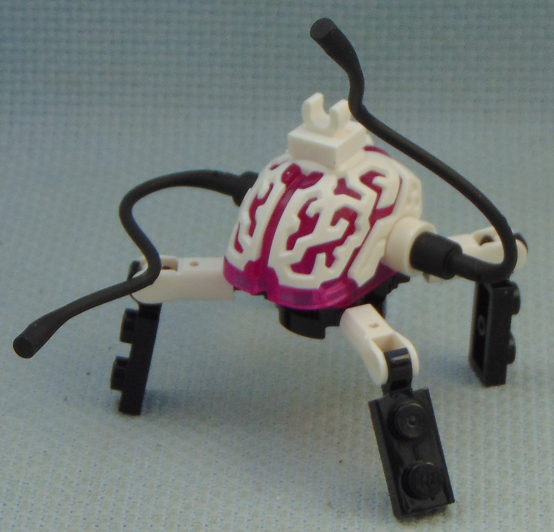brain_bug__action.jpg
