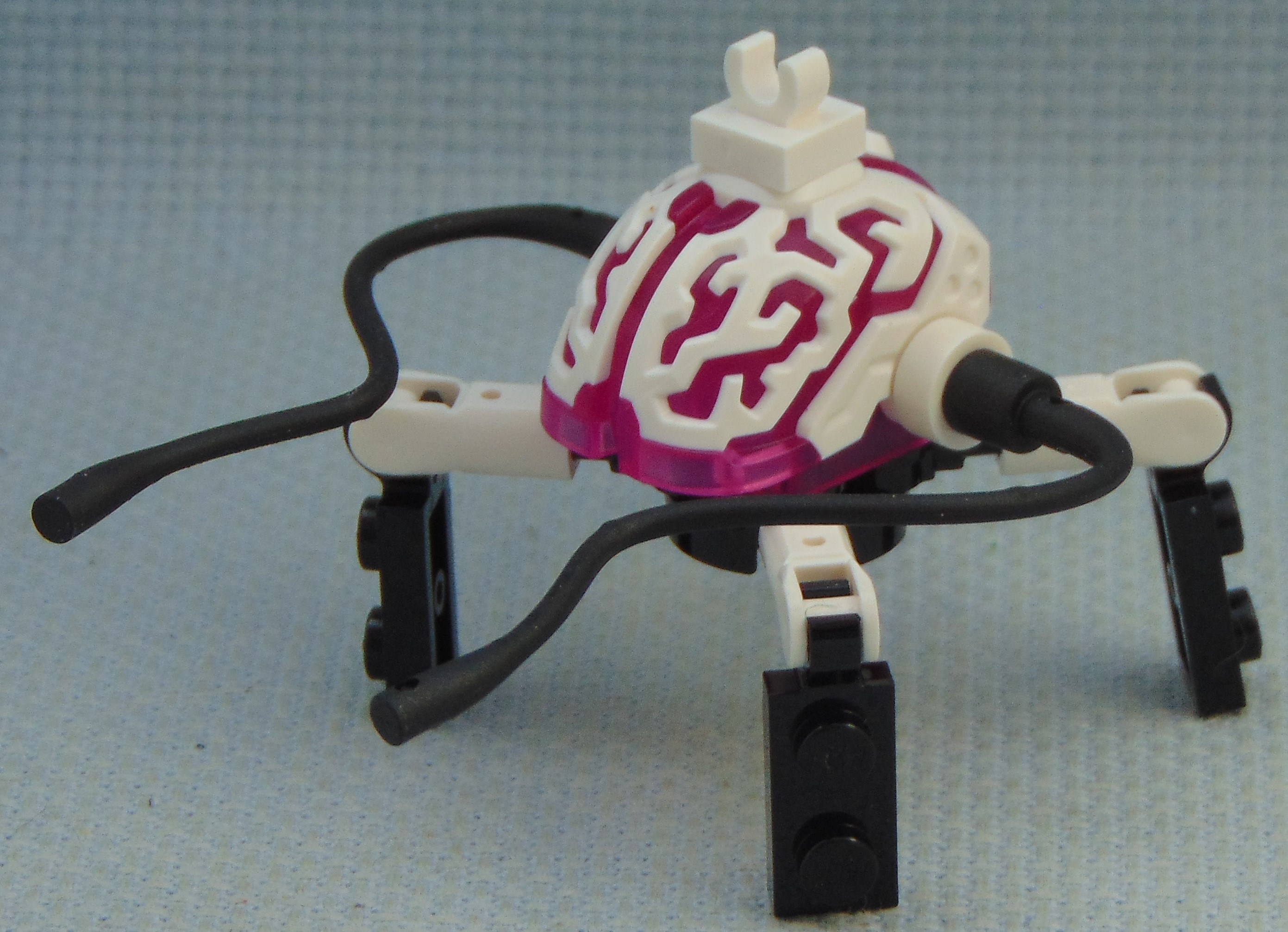 brain_bug__angle.jpg