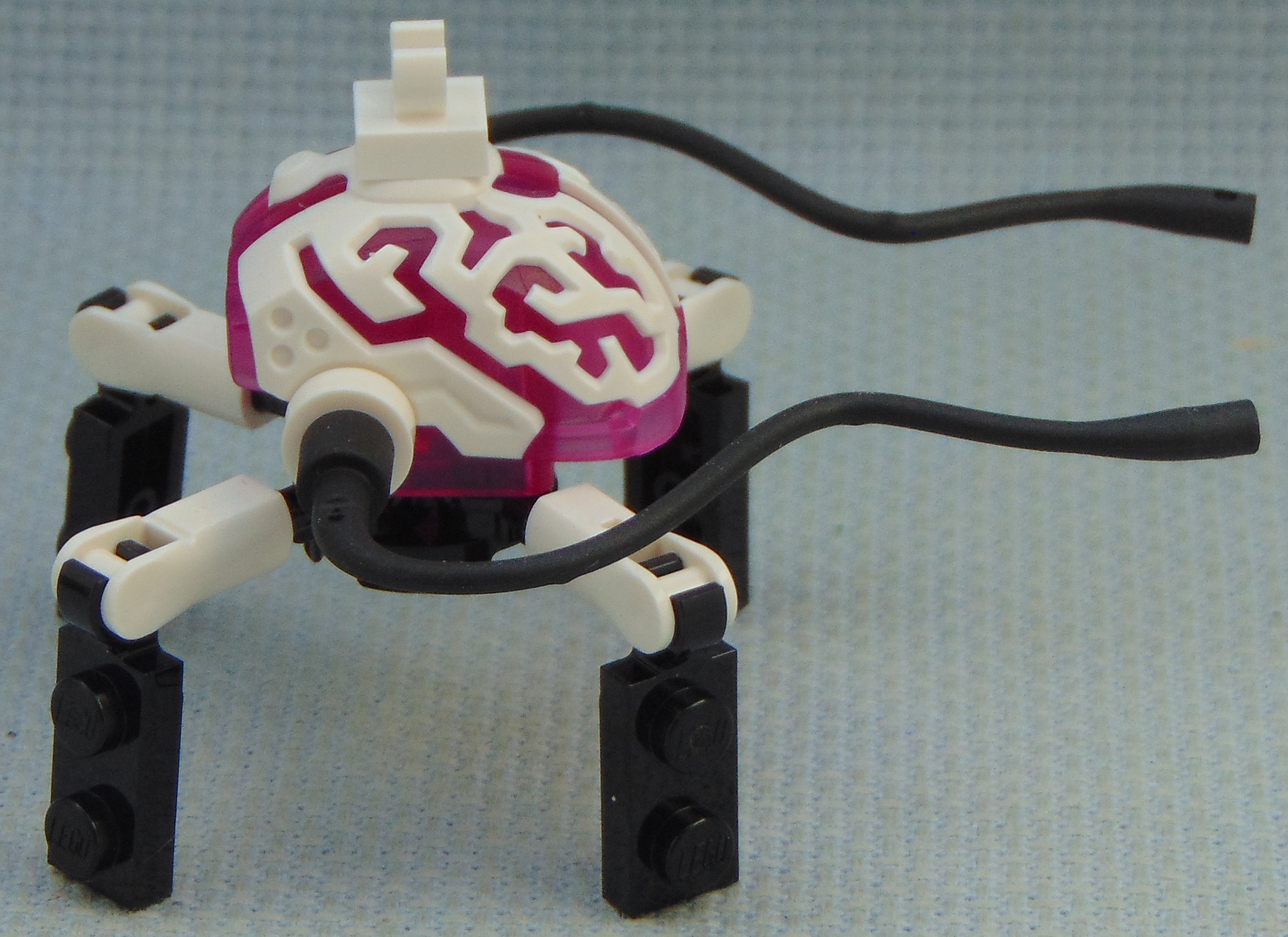brain_bug__side.jpg