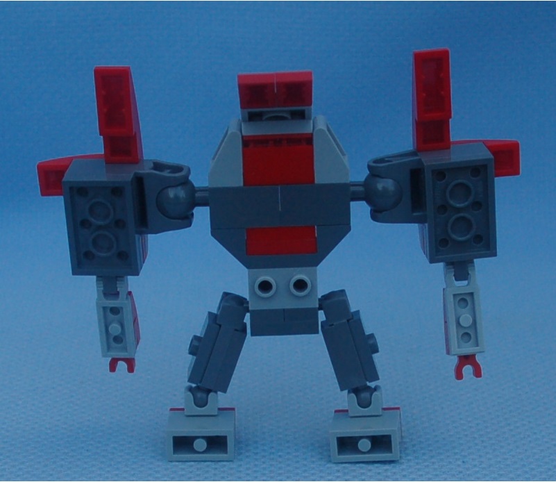 bruiser__rear.jpg