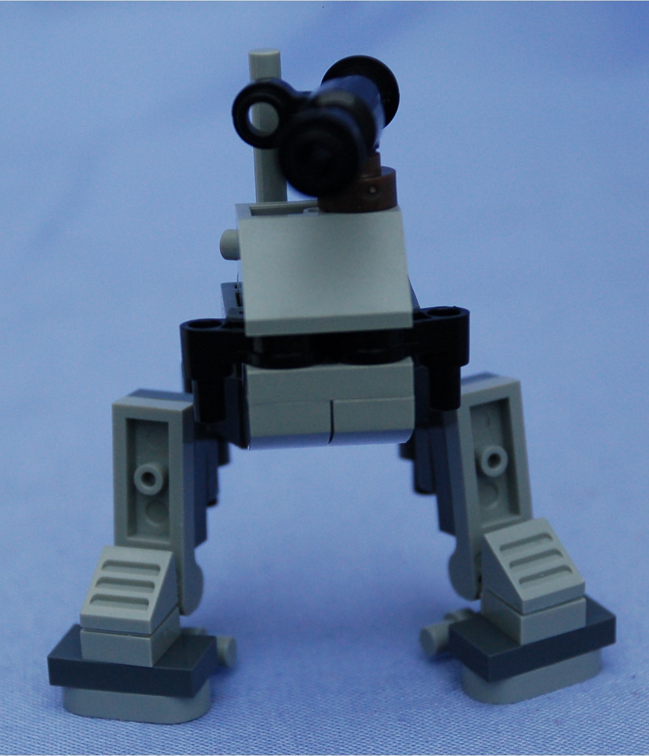 bullfrog__front.jpg