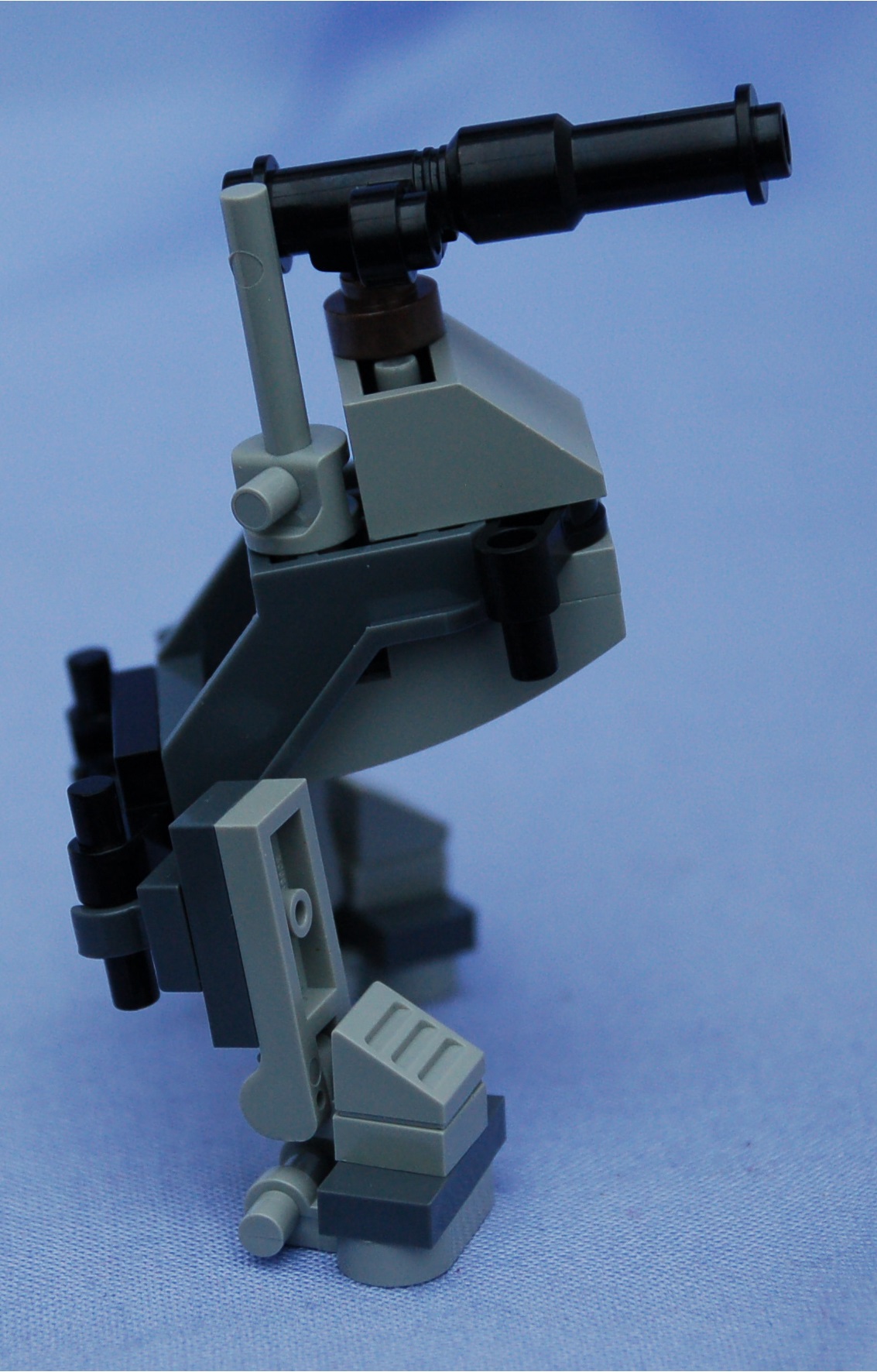 bullfrog__right.jpg
