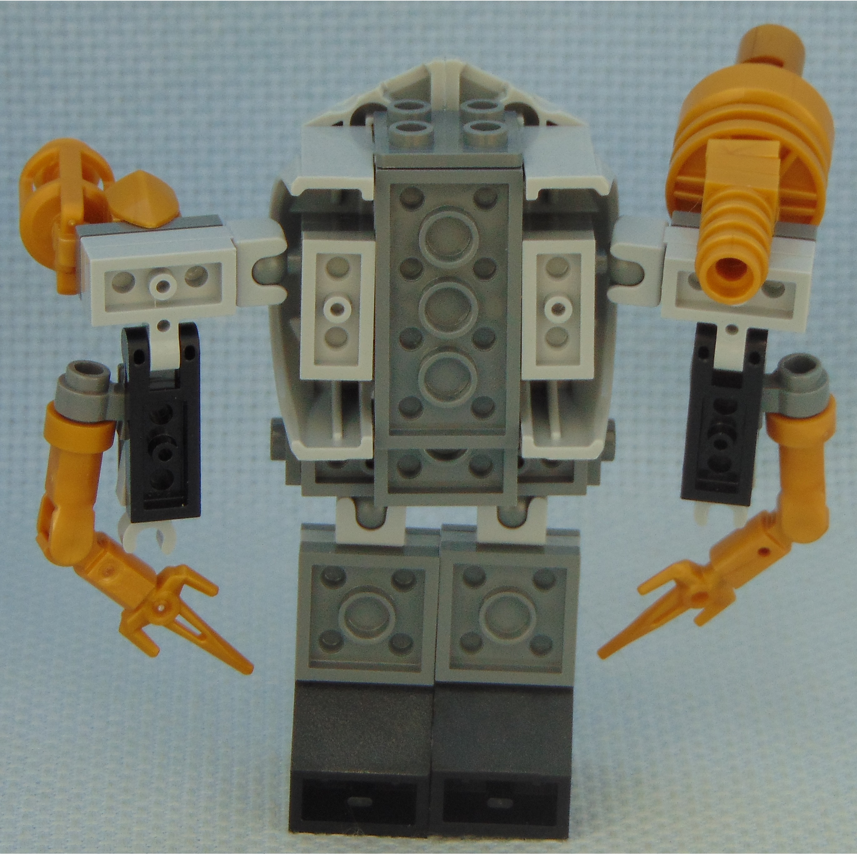 chonkmeister_delegator__rear.jpg