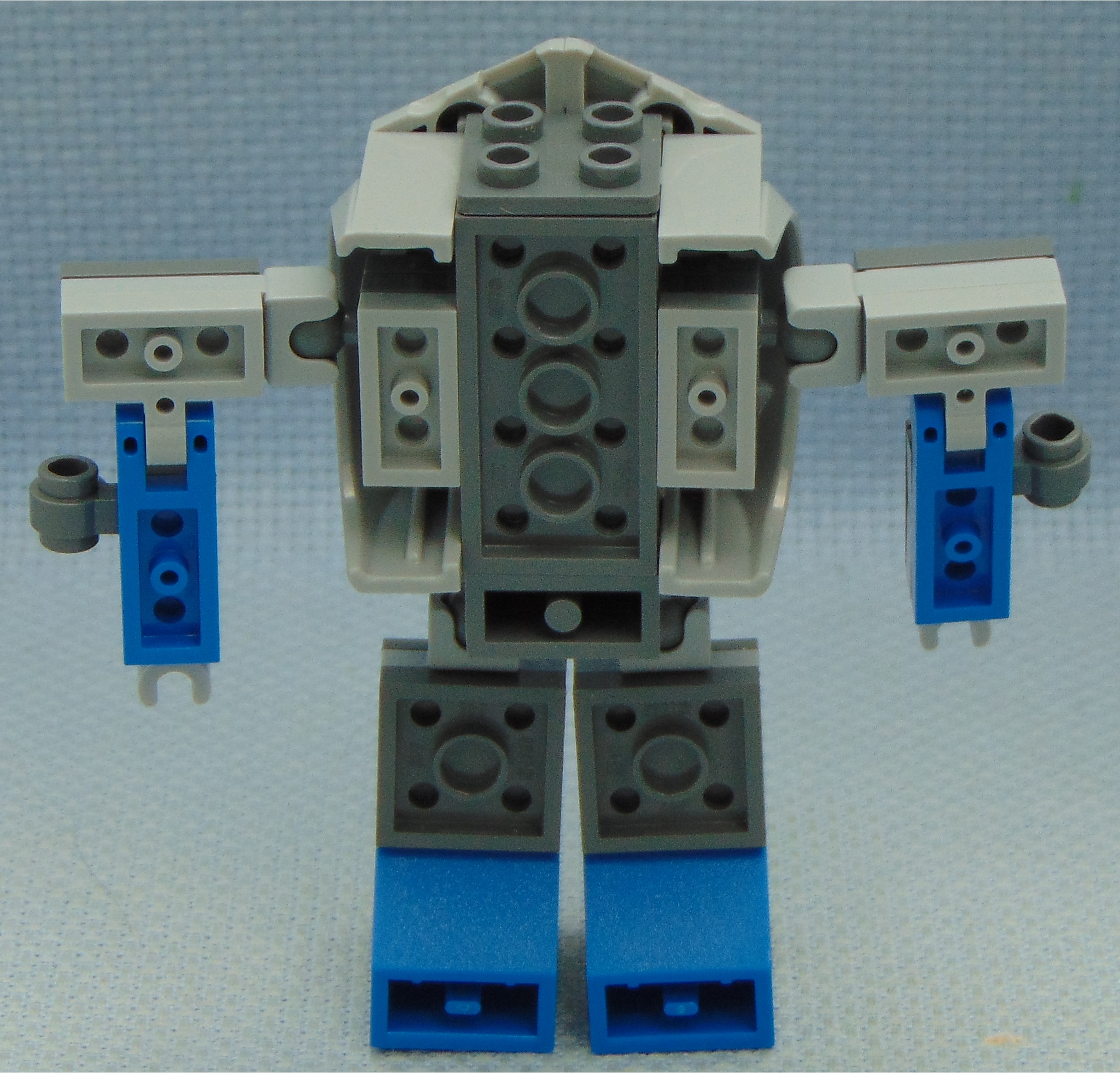 chonkmeister__rear.jpg