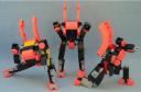 coral_crew.jpg