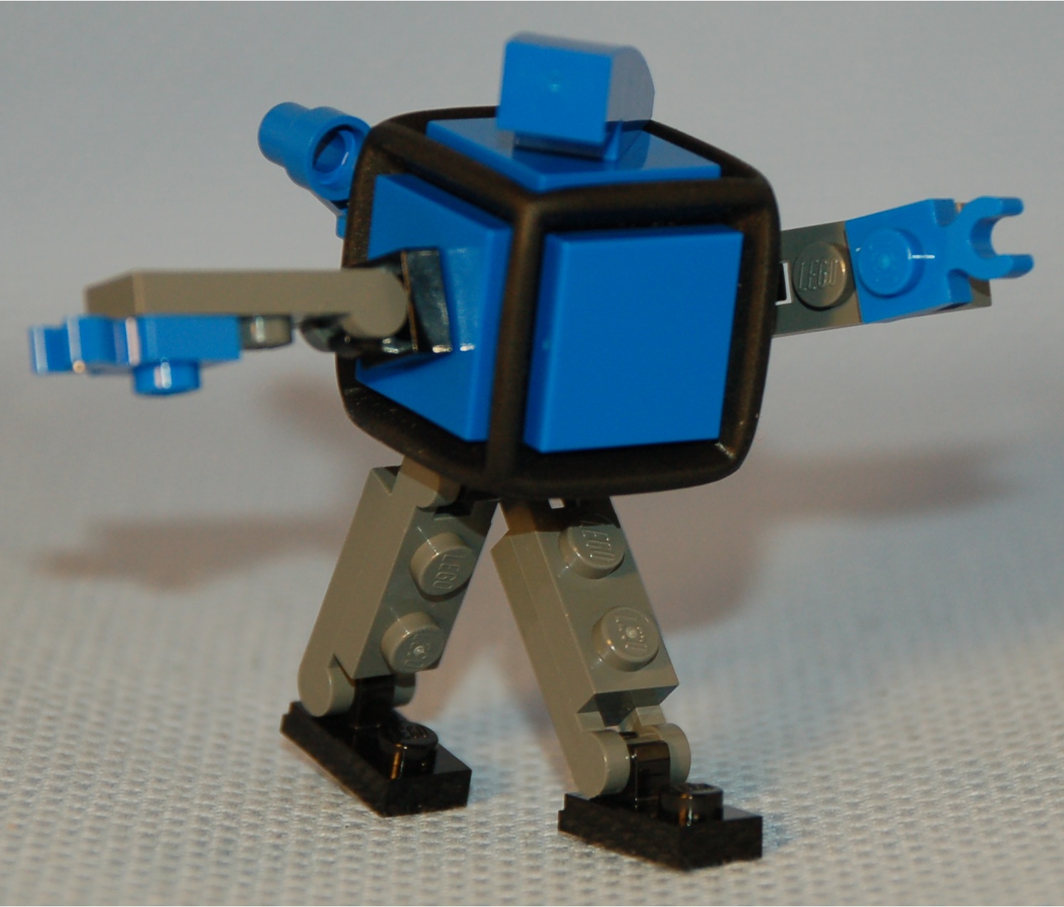blue_max__tiptoes.jpg