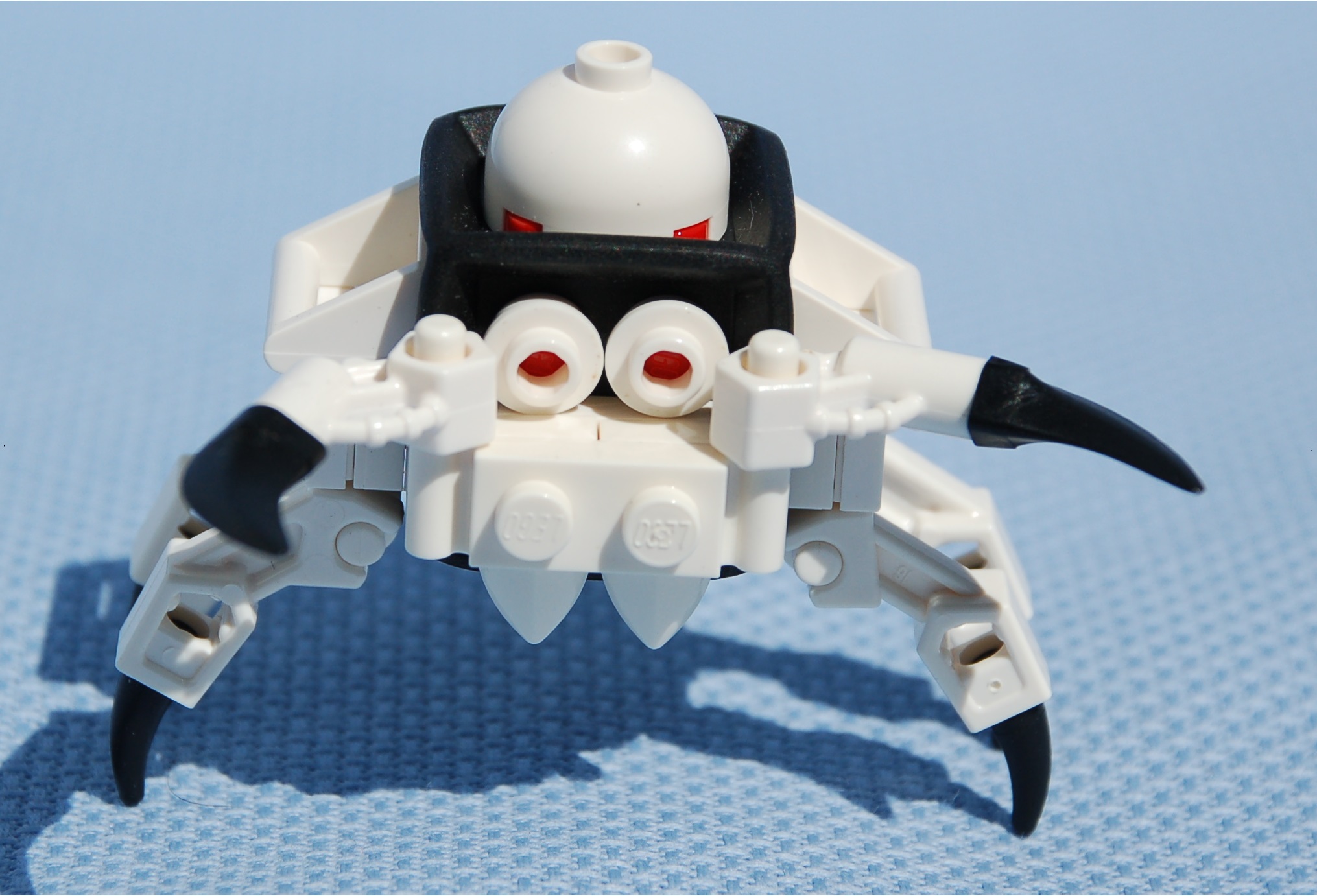 white_spider__front.jpg