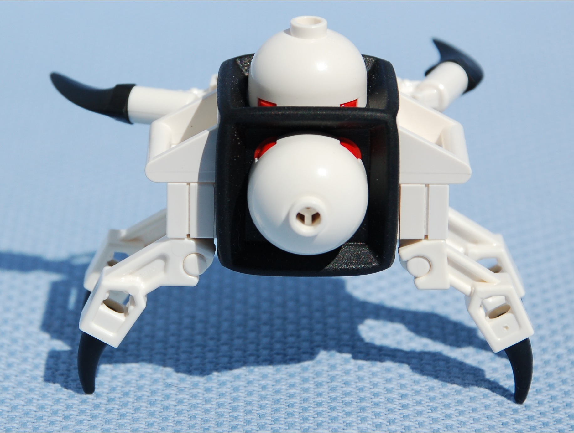 white_spider__rear.jpg