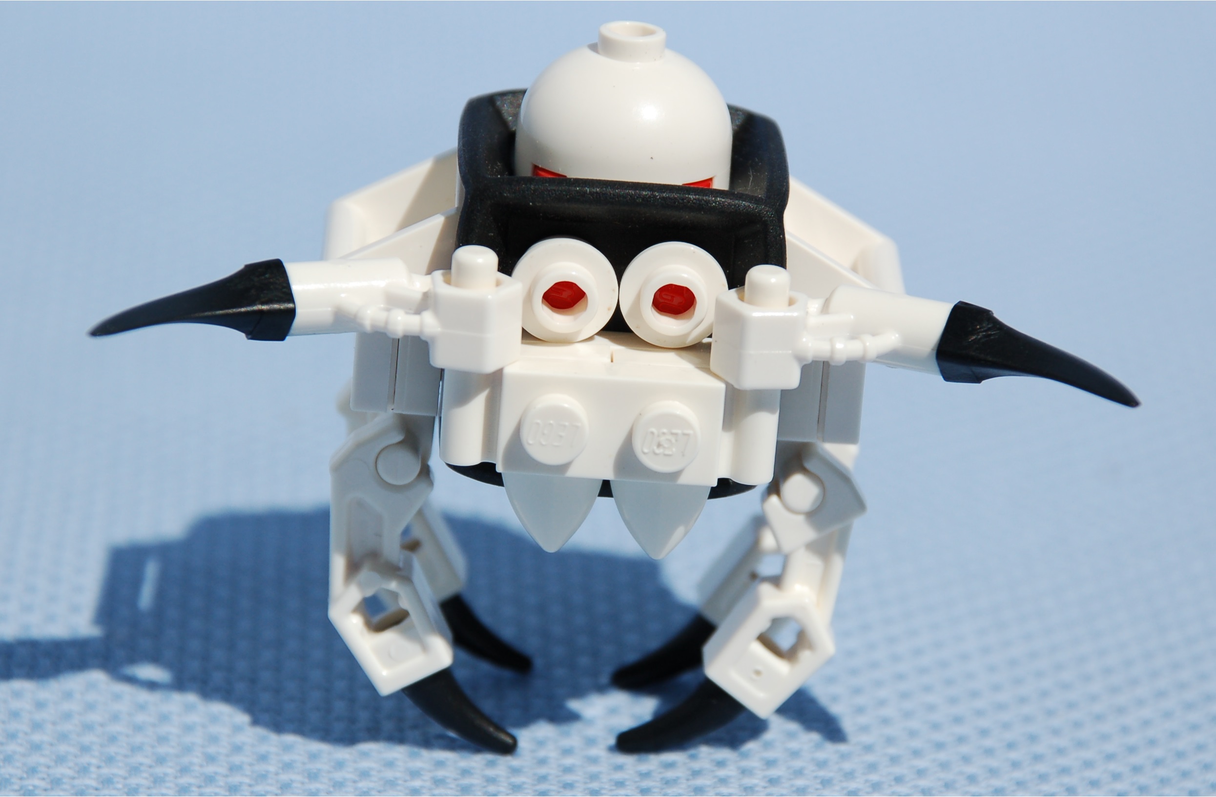 white_spider__tall.jpg