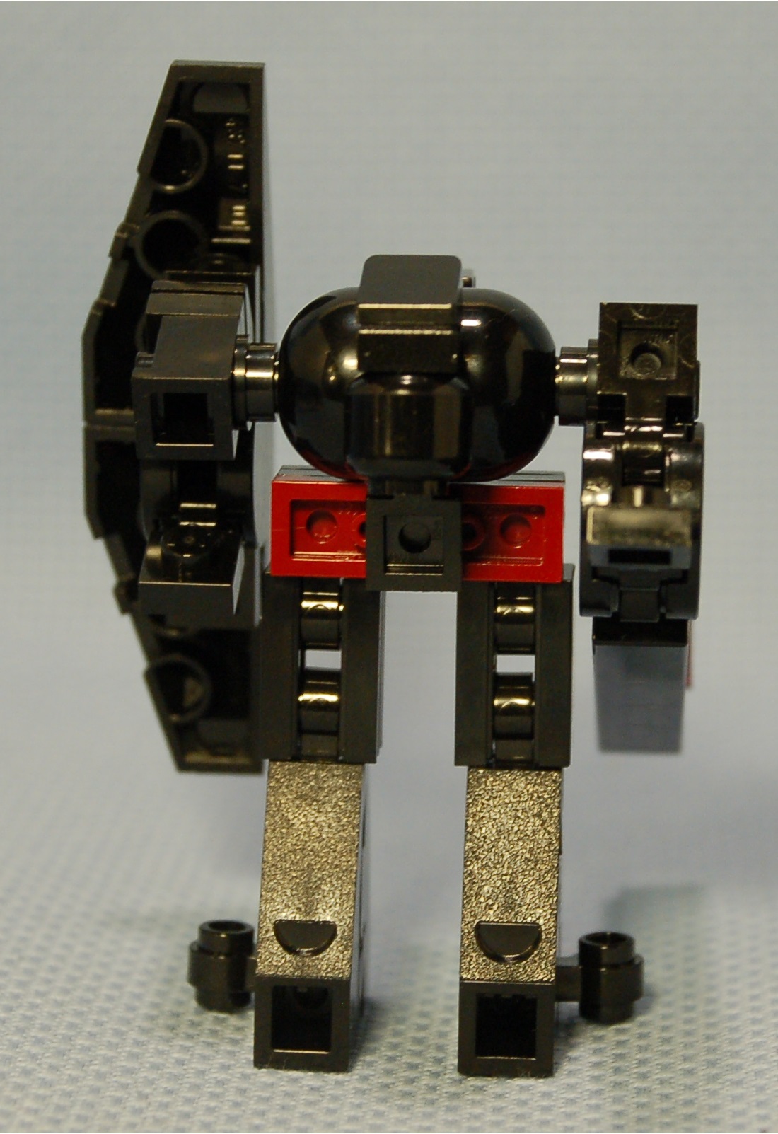 egg_4__rear.jpg