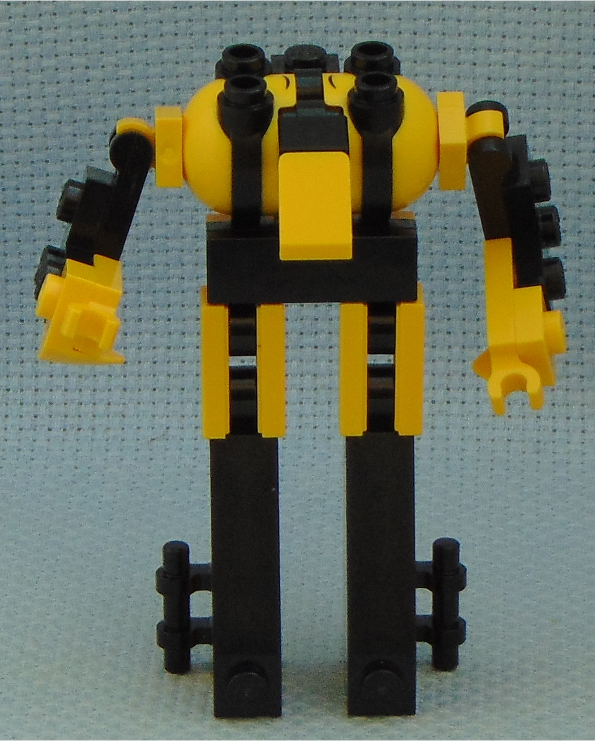 egg_13__front.jpg