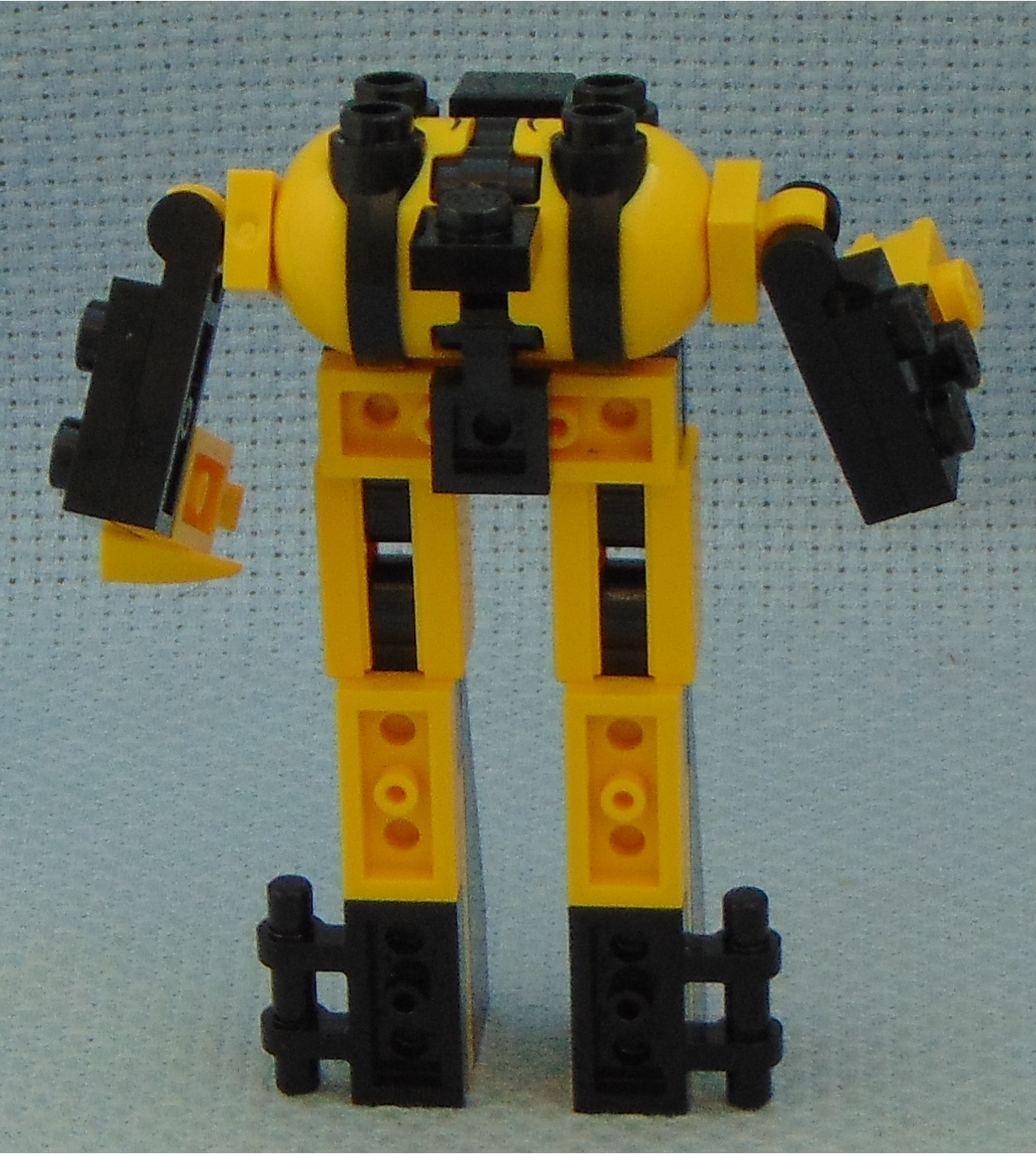 egg_13__rear.jpg