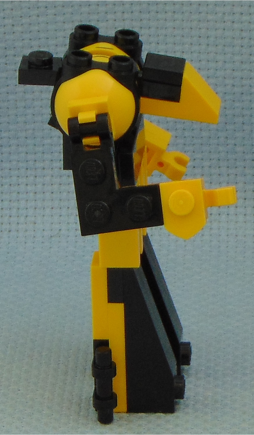 egg_13__side.jpg