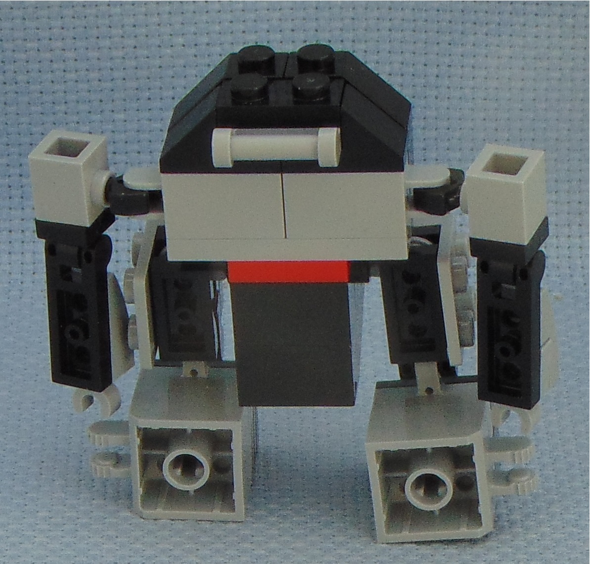 egghead__rear.jpg