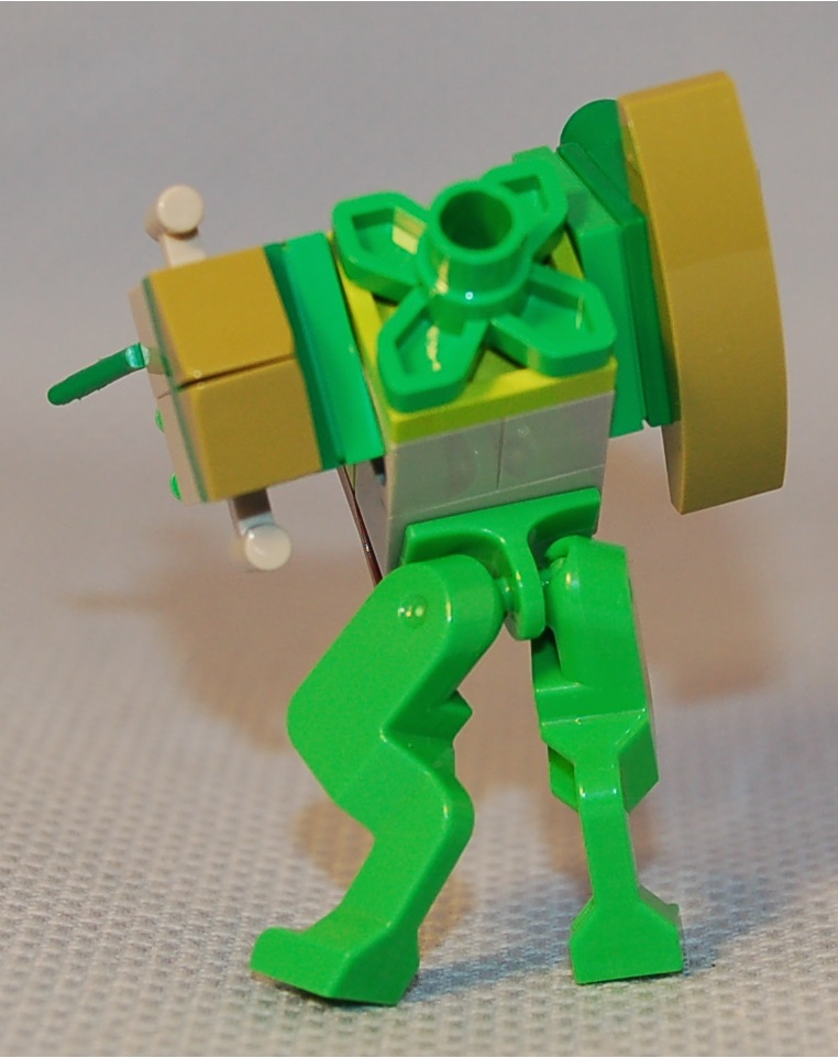 frog__rear.jpg