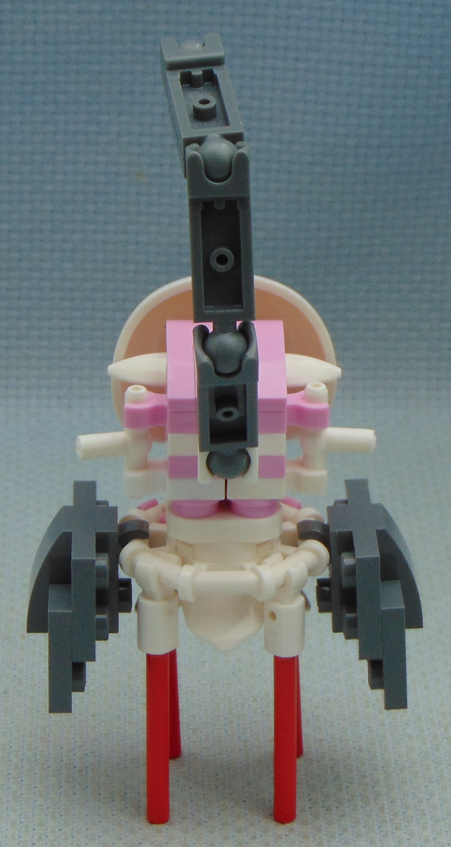 GWS_Beetle_Brawler__rear.JPG