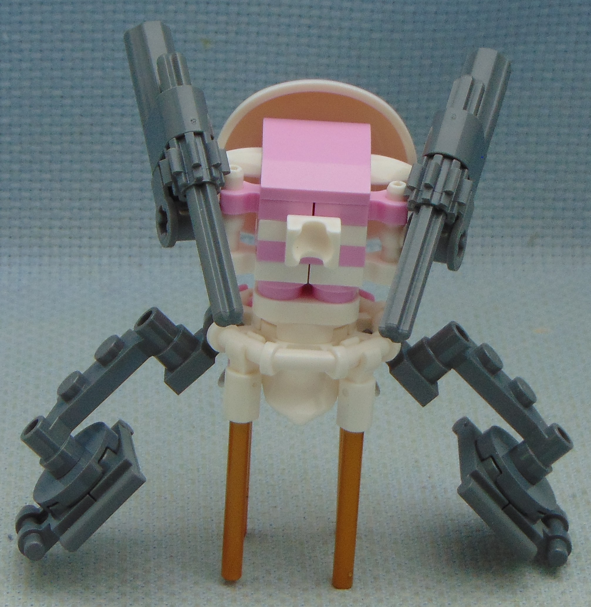 GWS_Beetle_RbF__rear.JPG