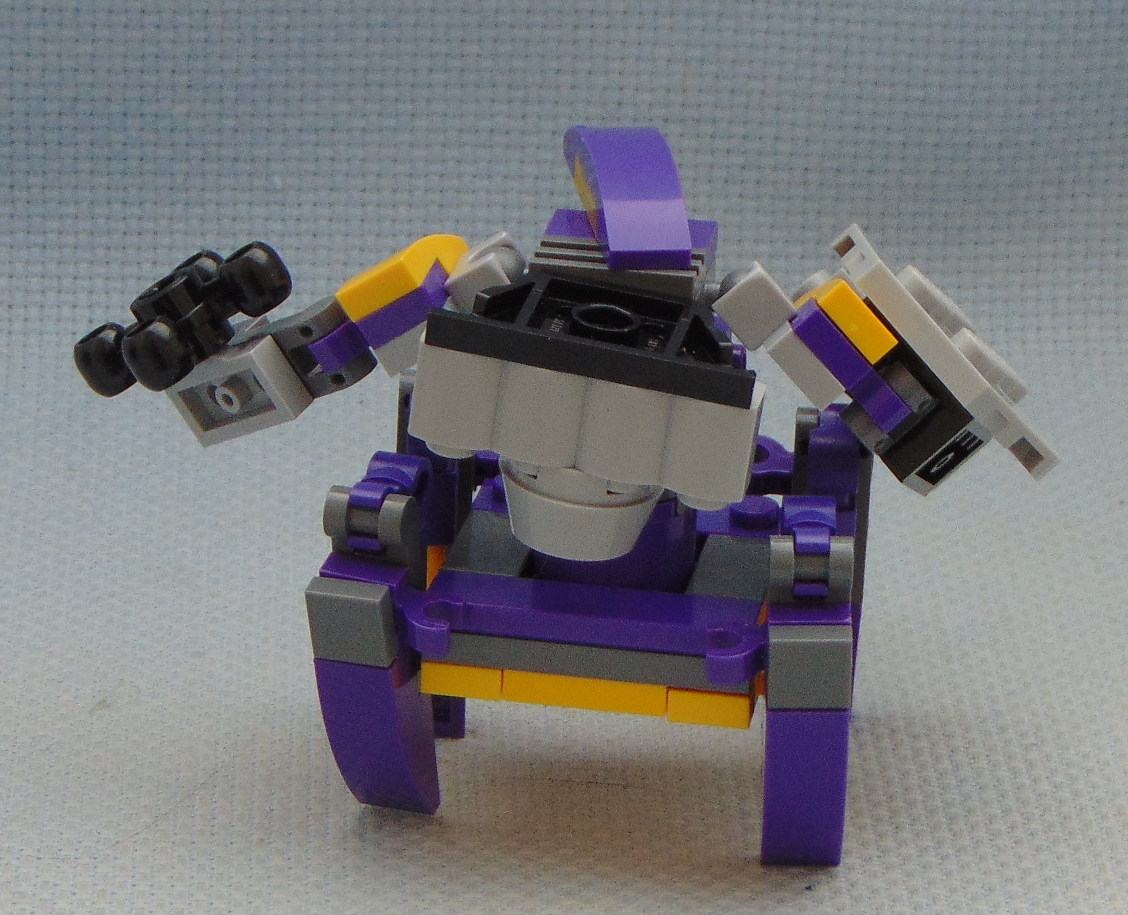 genericrab_soldier__rear.jpg