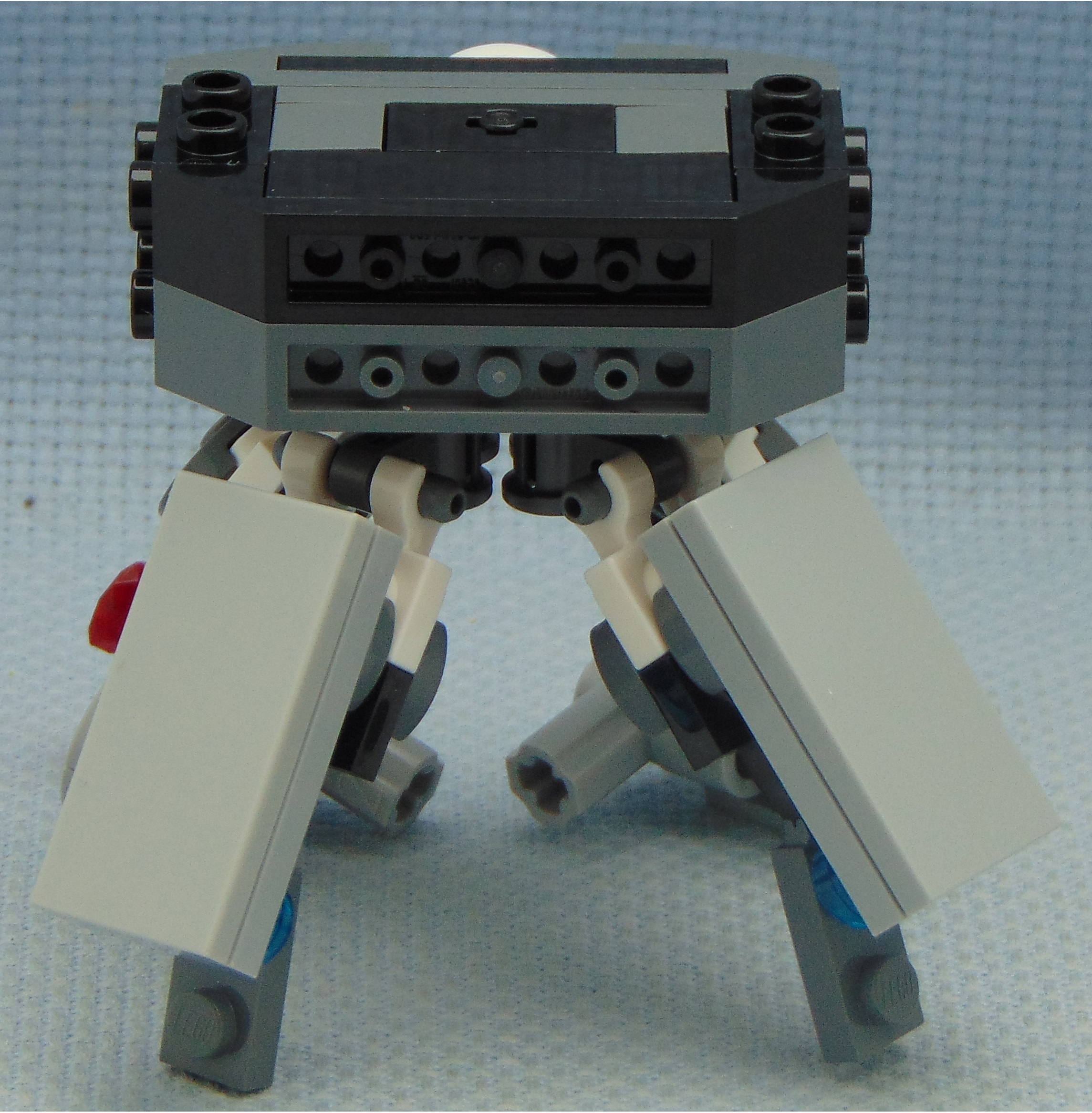 ghoul_brawler__rear.jpg