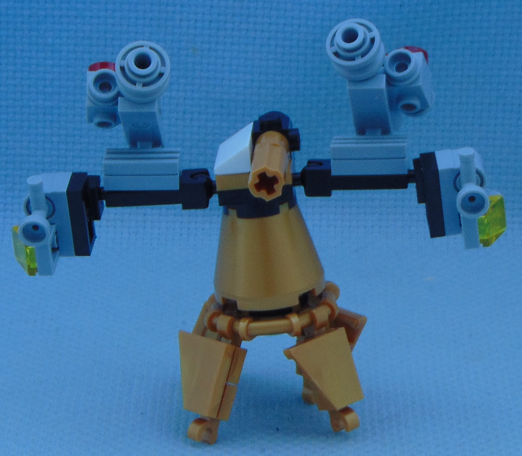goldbug_rbf__front.jpg