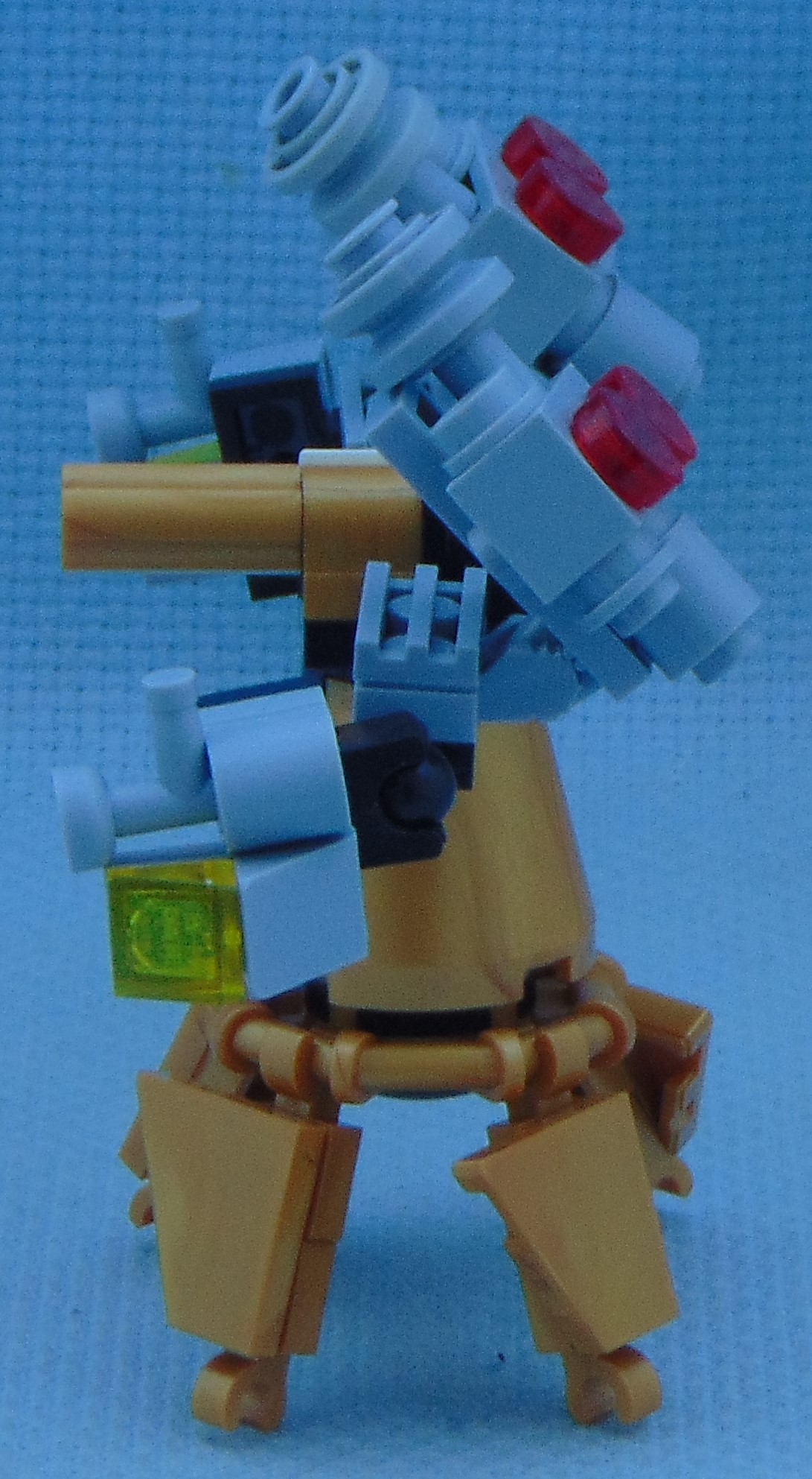 goldbug_rbf__left.jpg