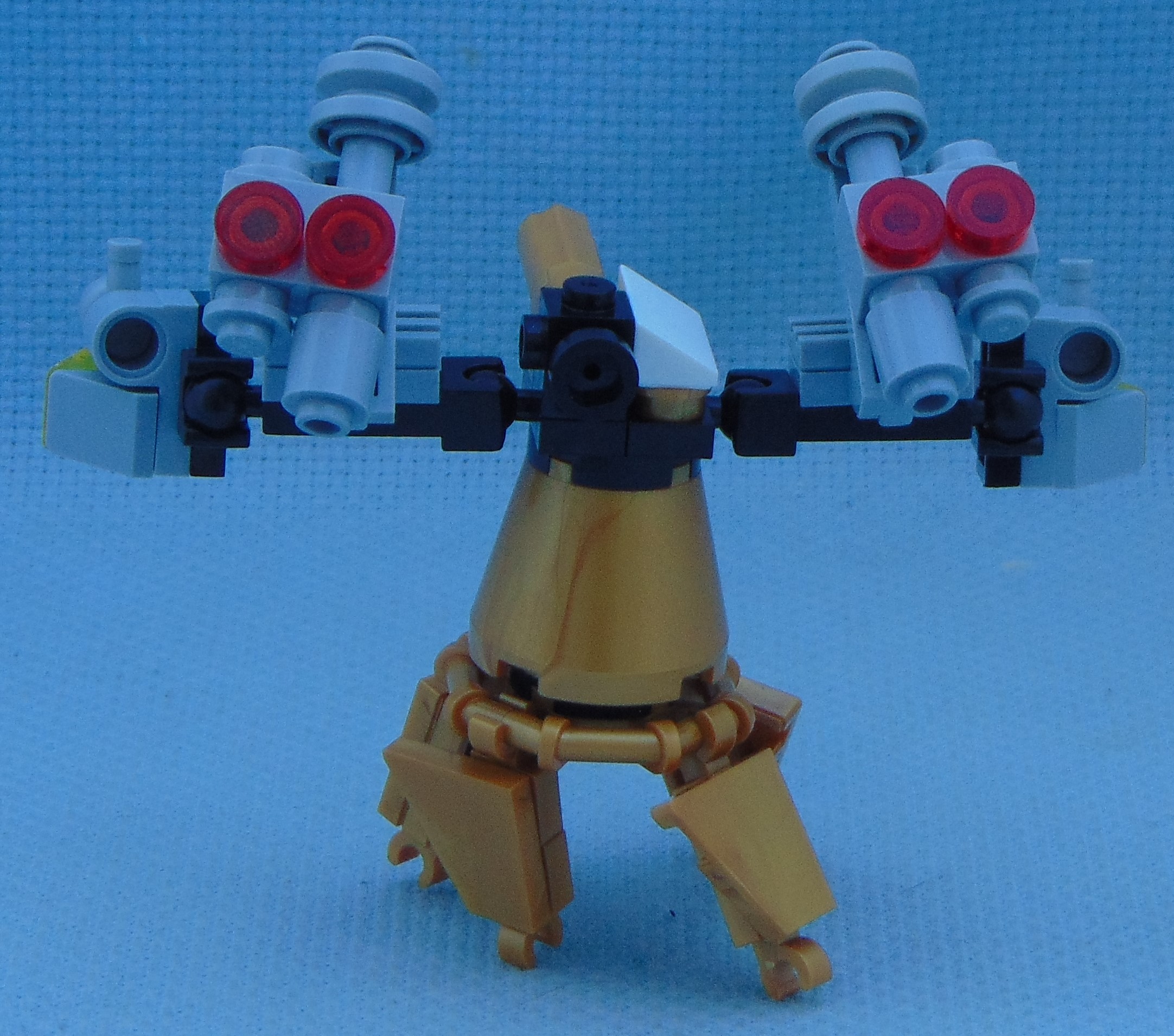 goldbug_rbf__rear.jpg