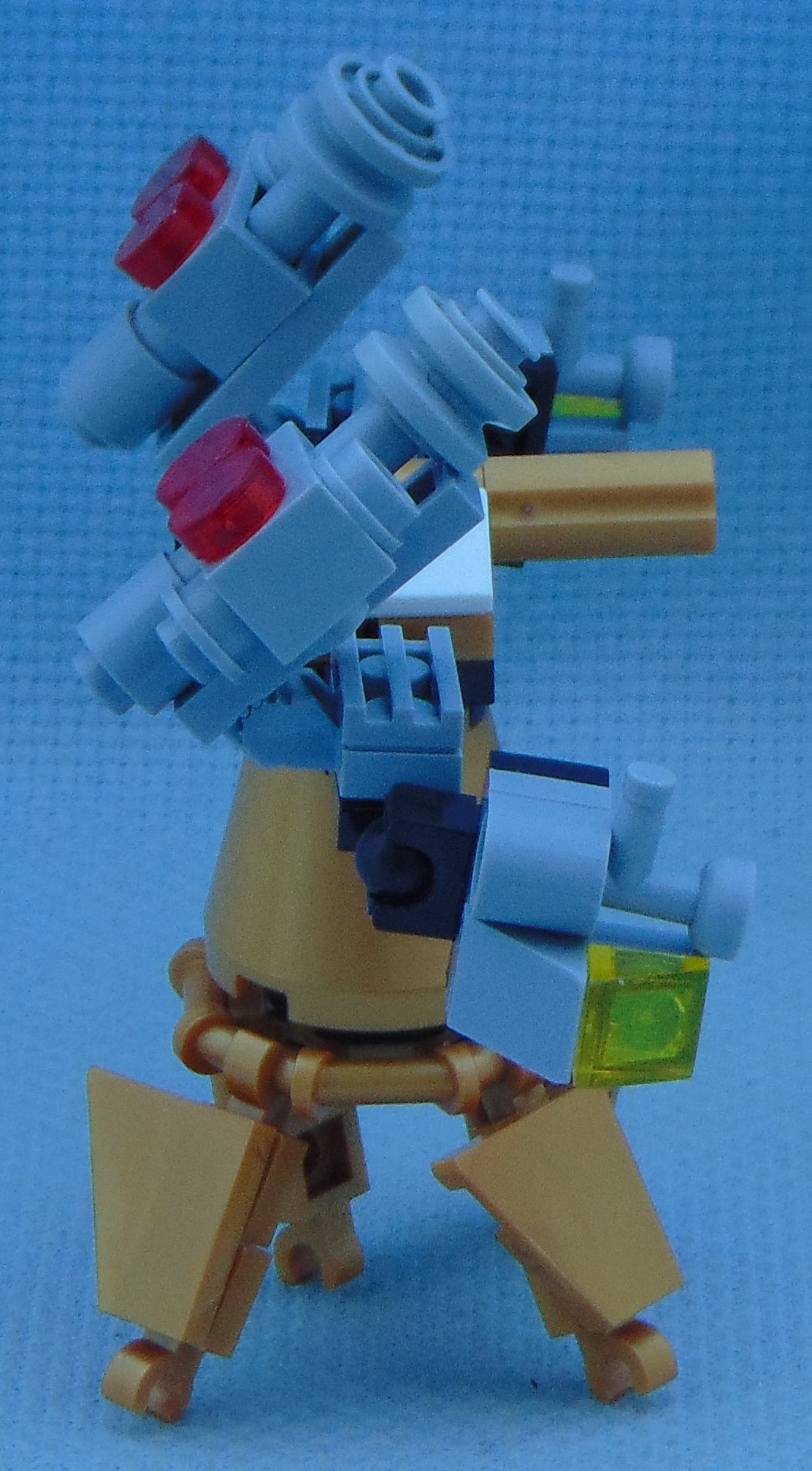 goldbug_rbf__right.jpg