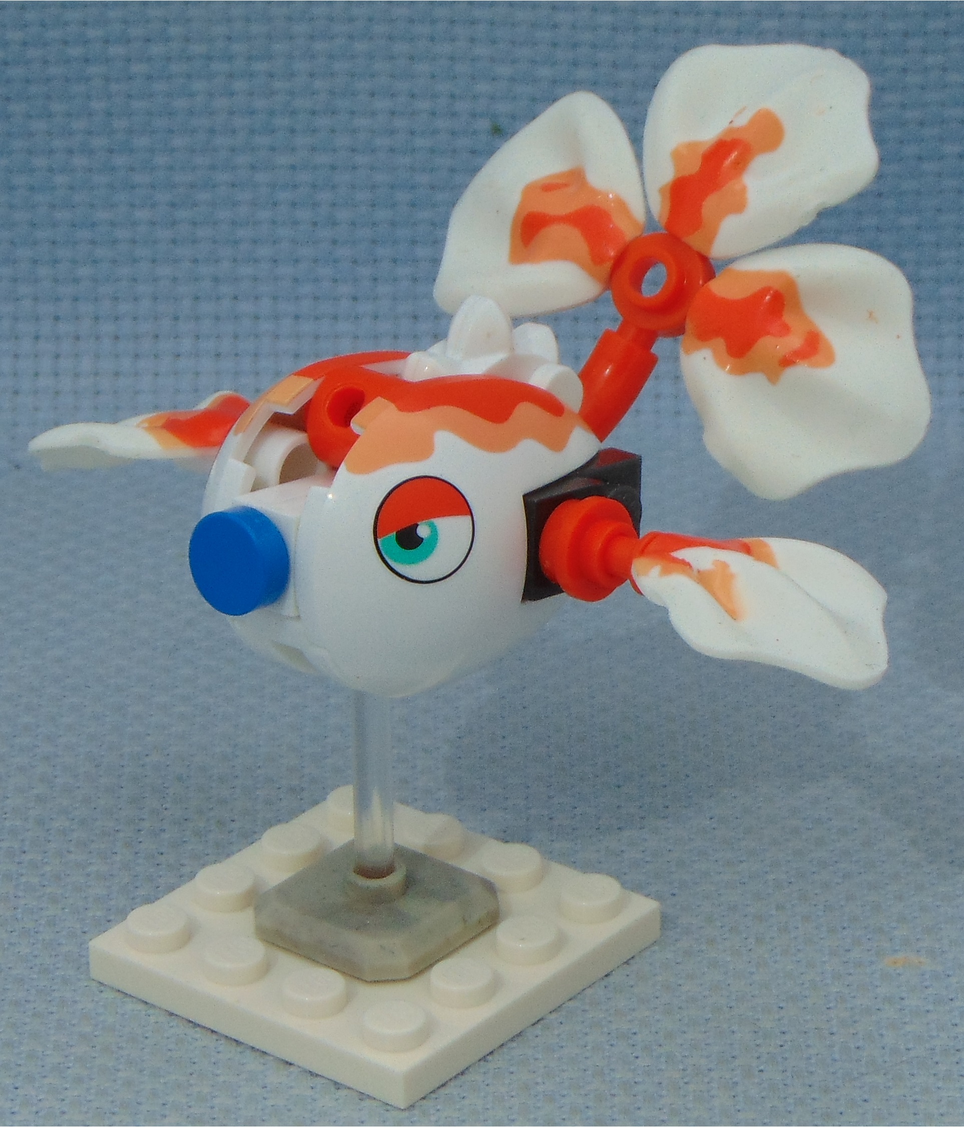 goldfish__angle.jpg