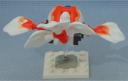 goldfish__rear.jpg