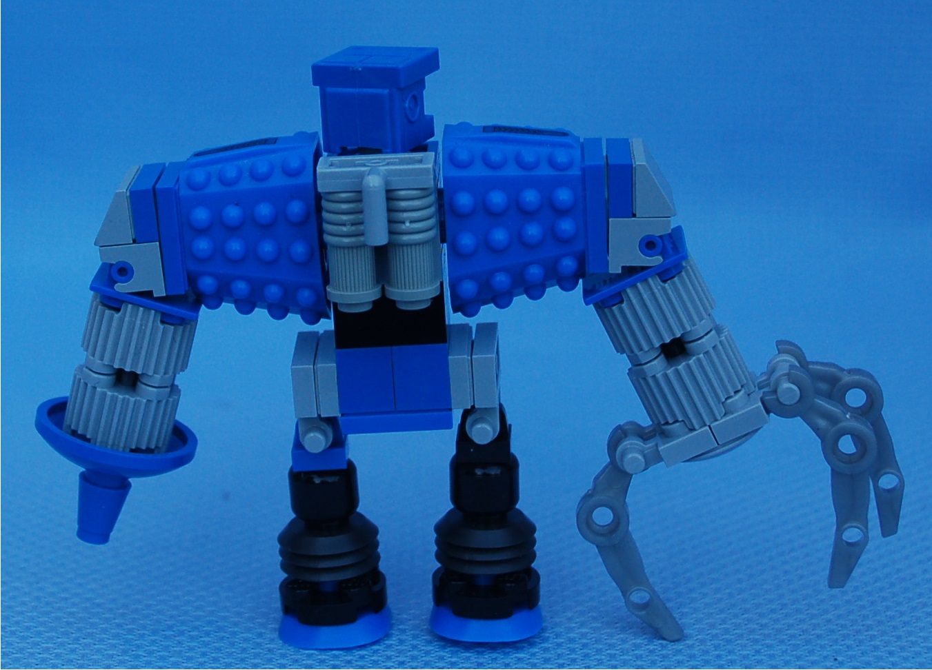blue_gorilla__rear.jpg