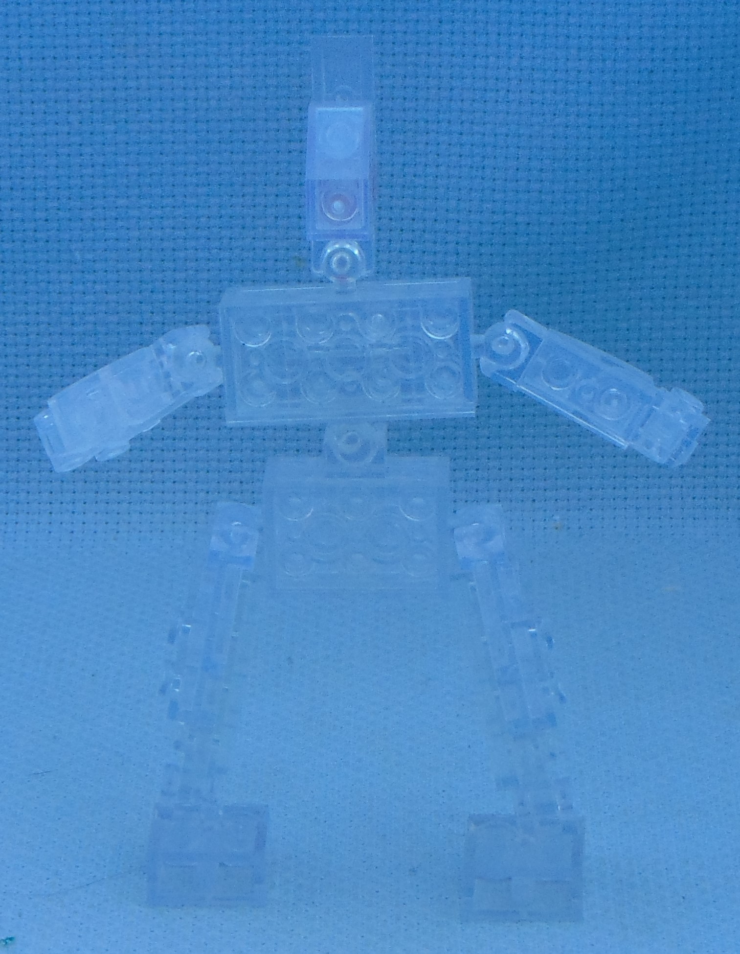 griffin__rear.jpg