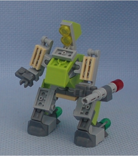 soldier_iguana__angle.jpg