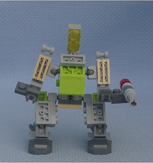 soldier_iguana__front.jpg