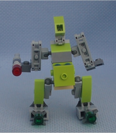 soldier_iguana__rear.jpg
