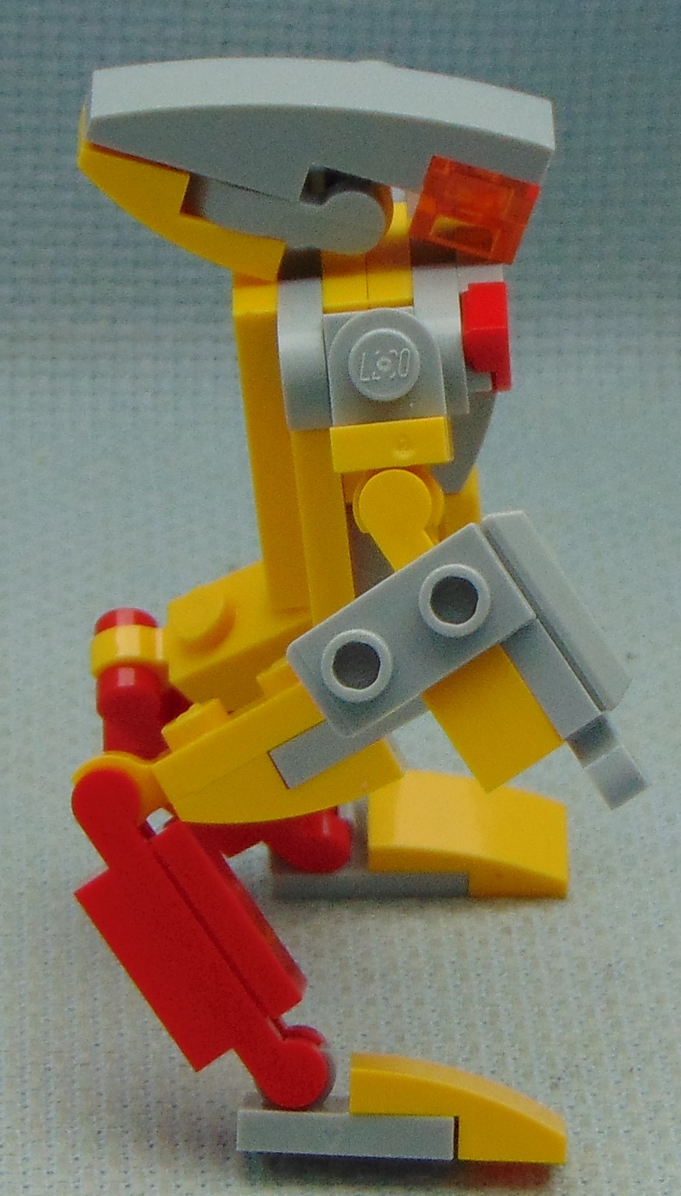 kangaroo__side.jpg