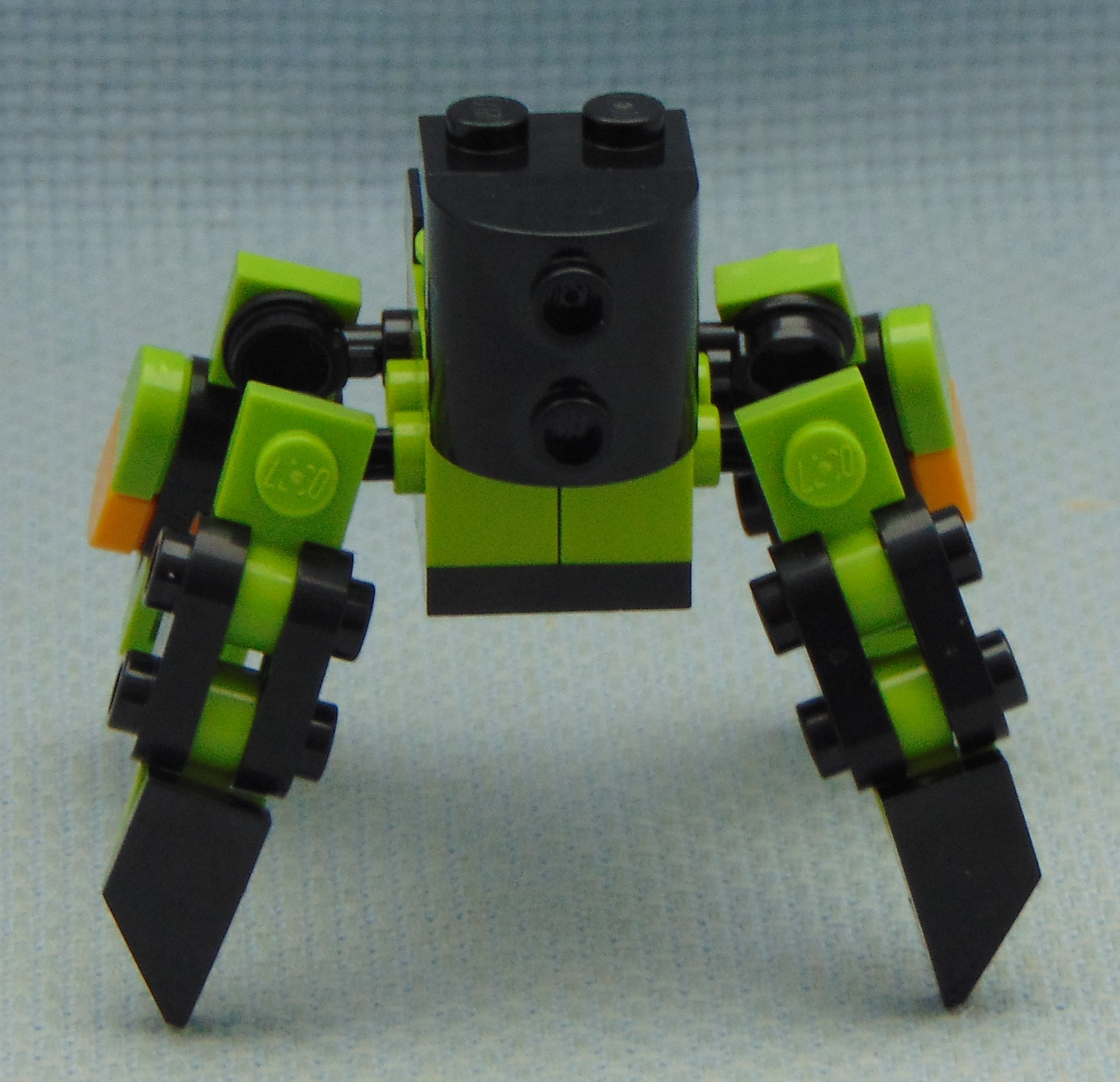 nocturne__rear.jpg