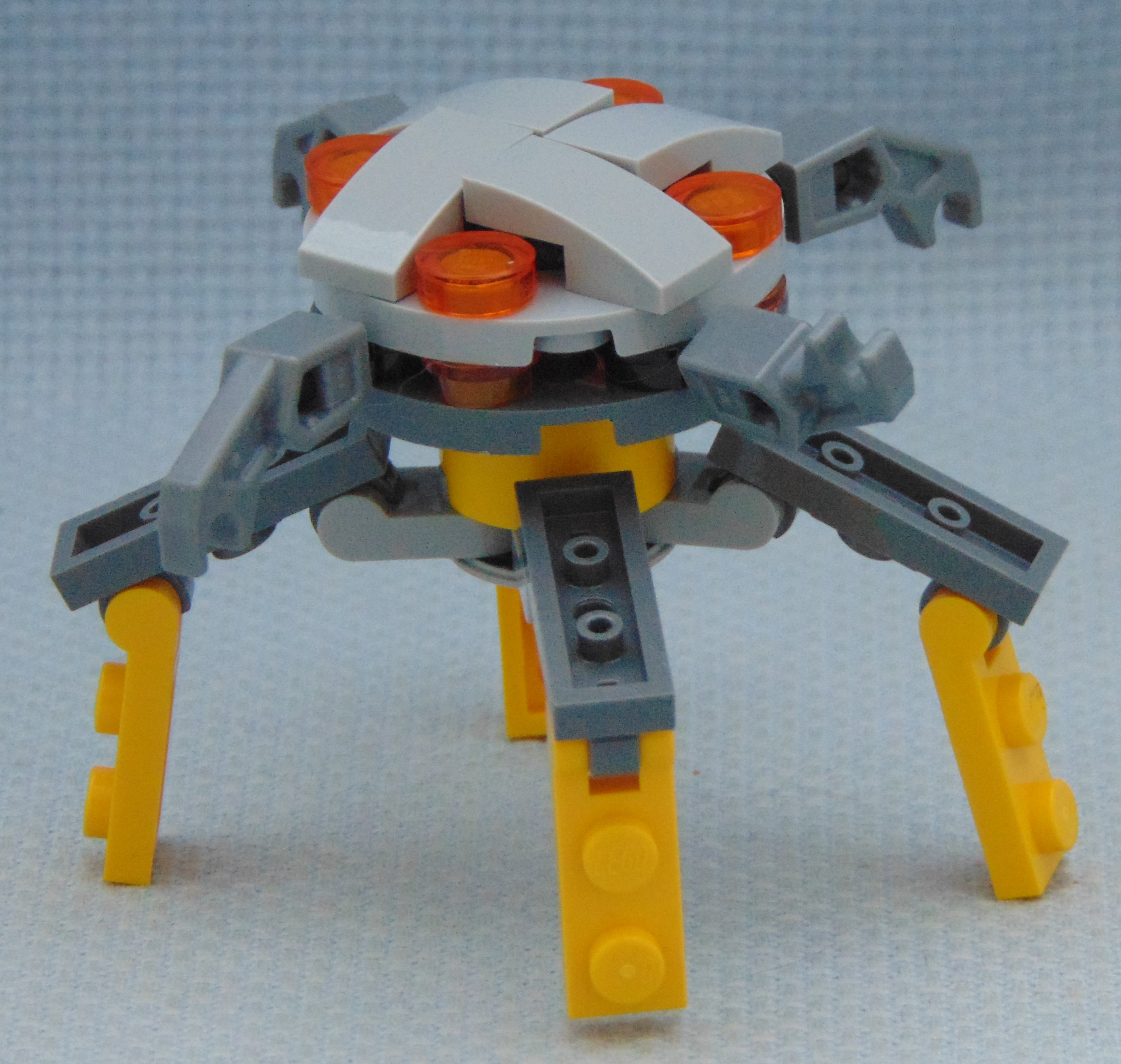 octopus__angle.jpg