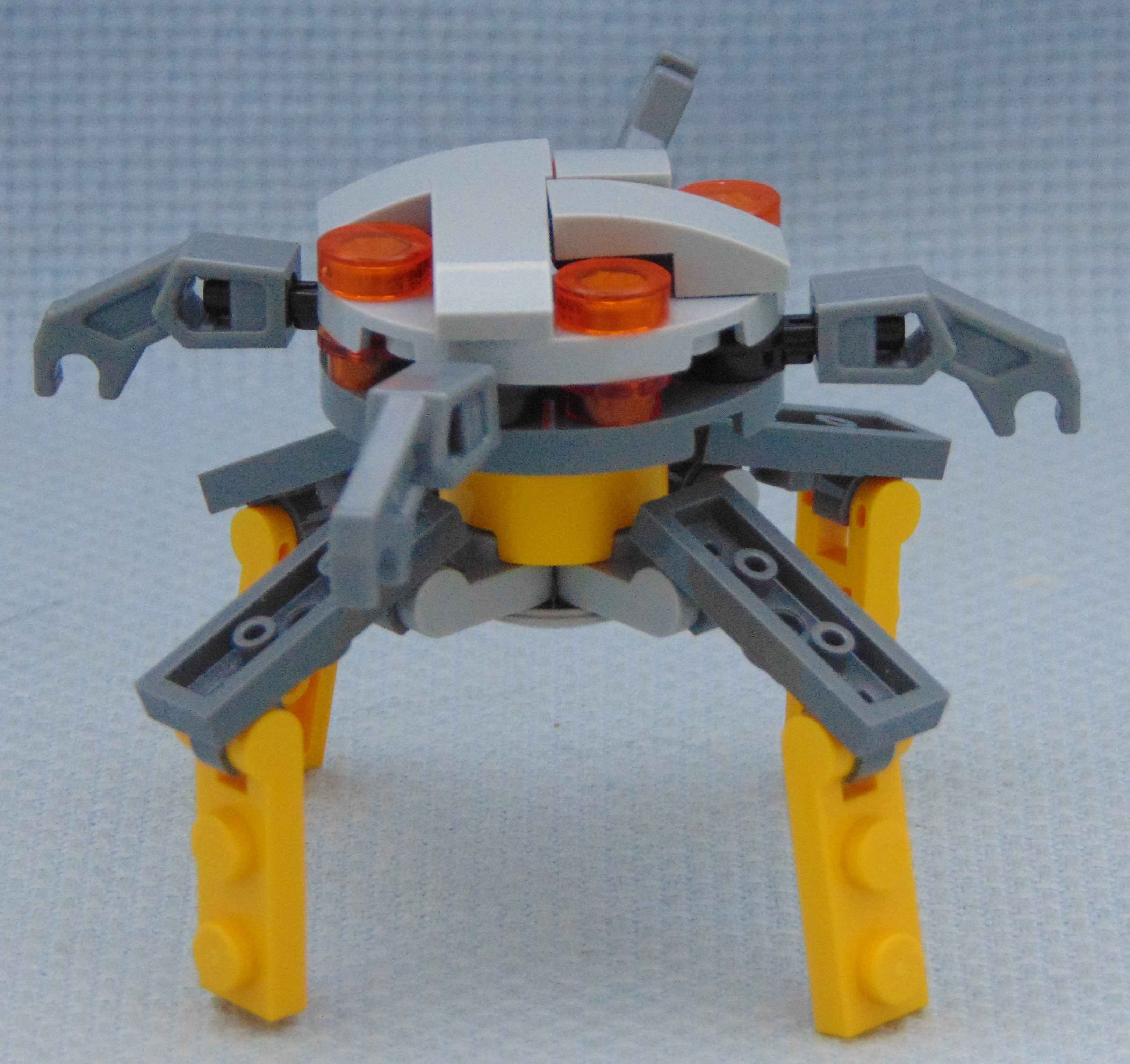 octopus__front.jpg