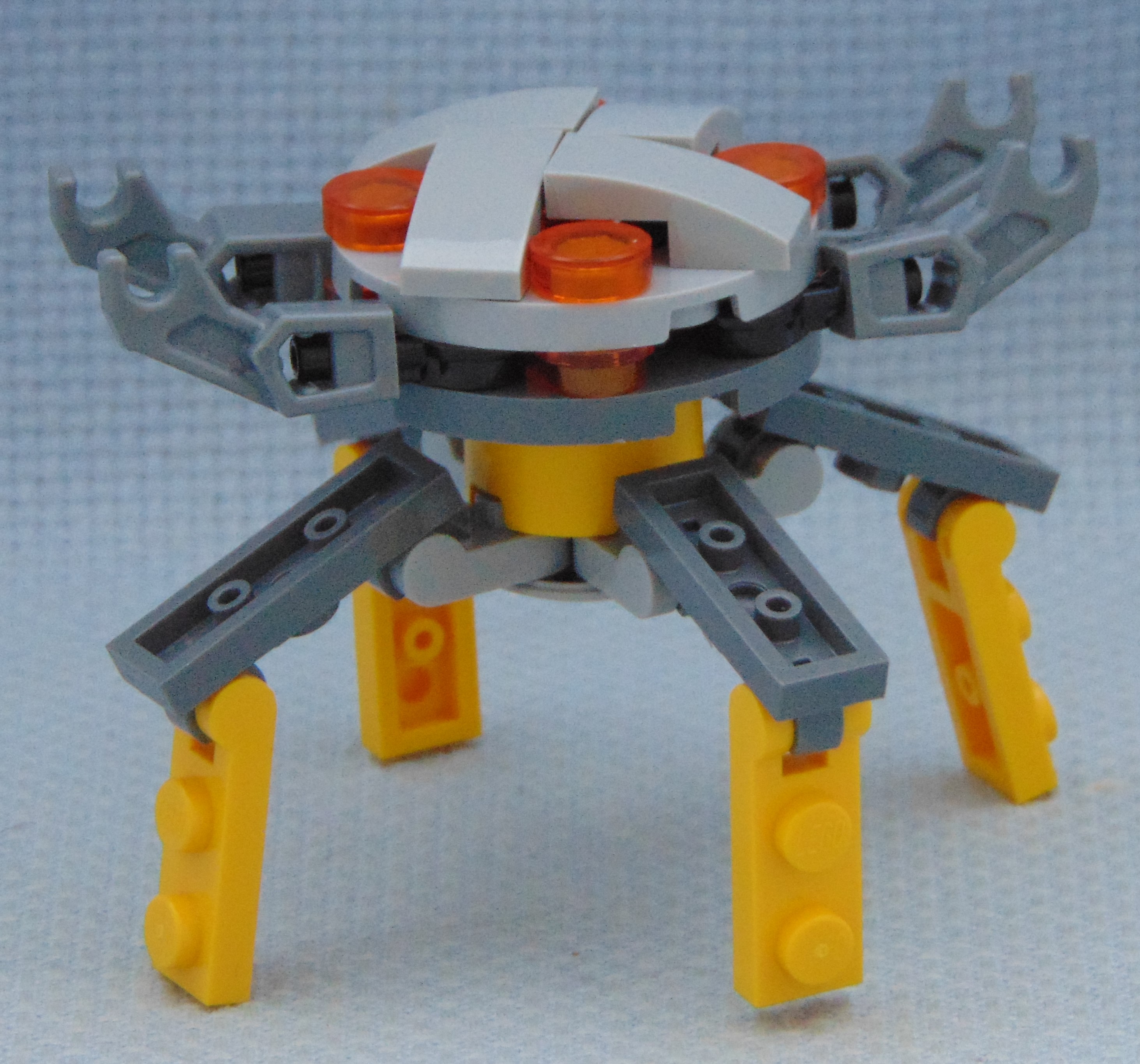 octopus__side.jpg