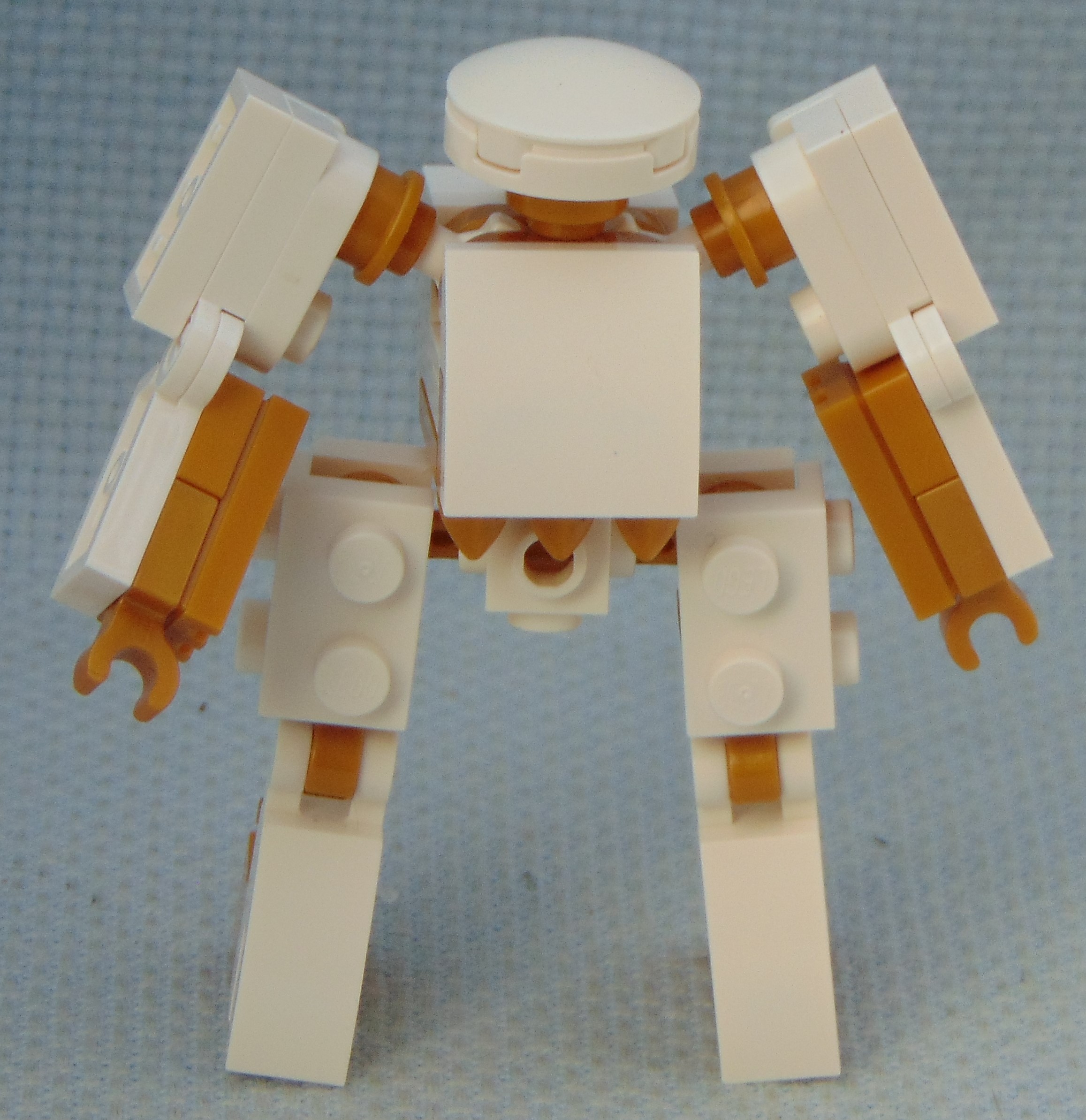 oso_oro__front.jpg