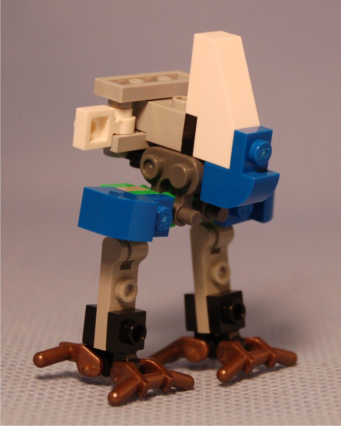 ostrich__angle.jpg