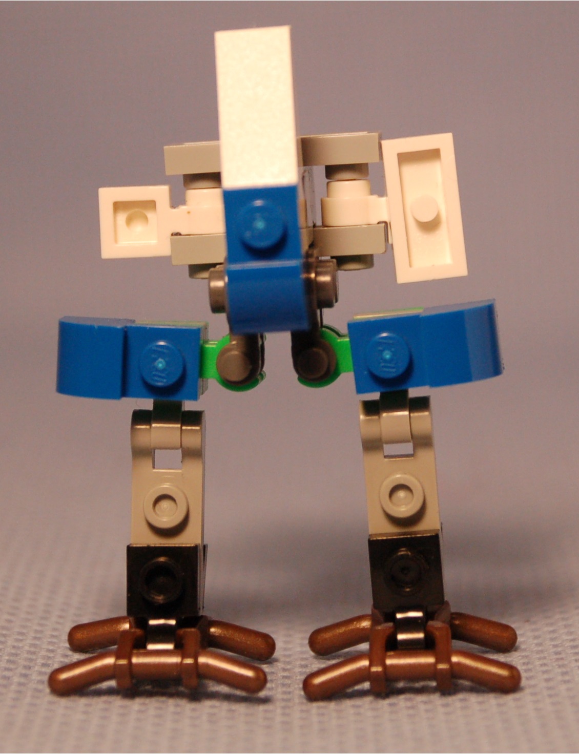 ostrich__front.jpg